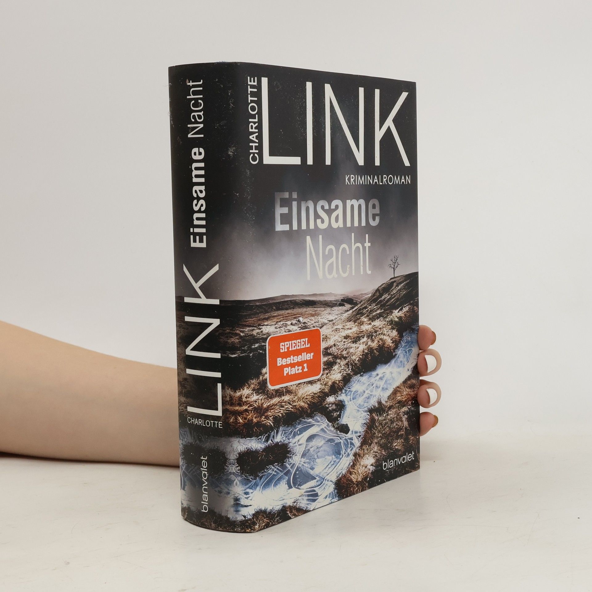 Charlotte Link Einsame Nacht