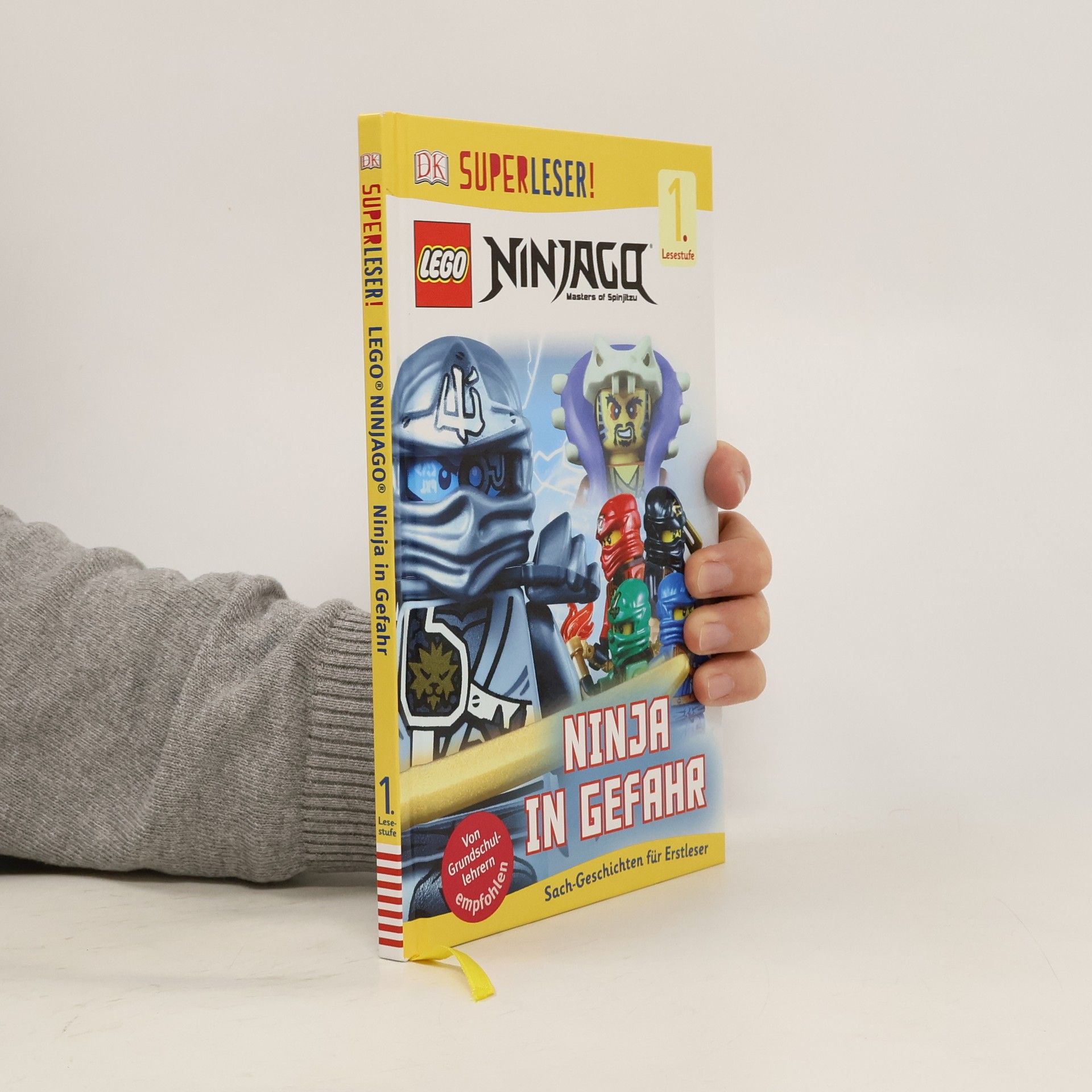 Julia March LEGO Ninjago. Masters of spinjitzu. Ninja in Gefahr