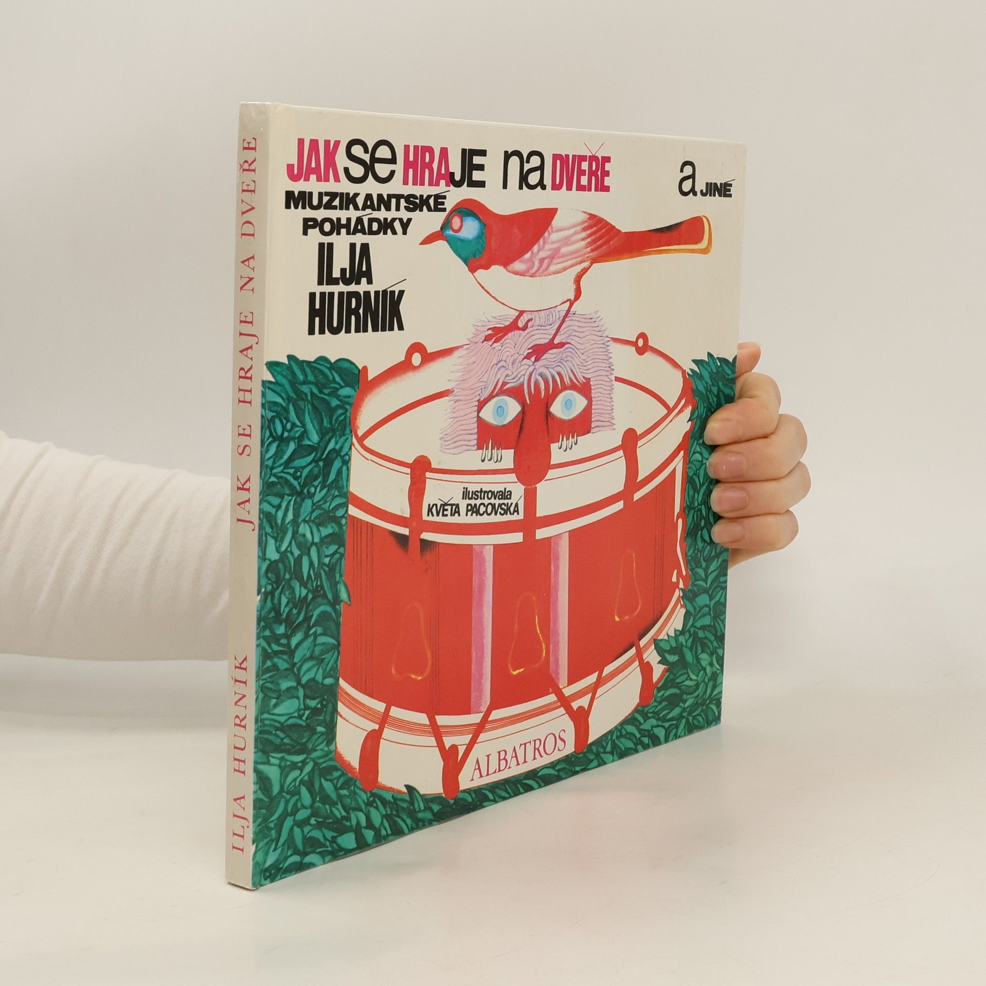 Jak se hraje na dveře a jiné muzikantské pohádky