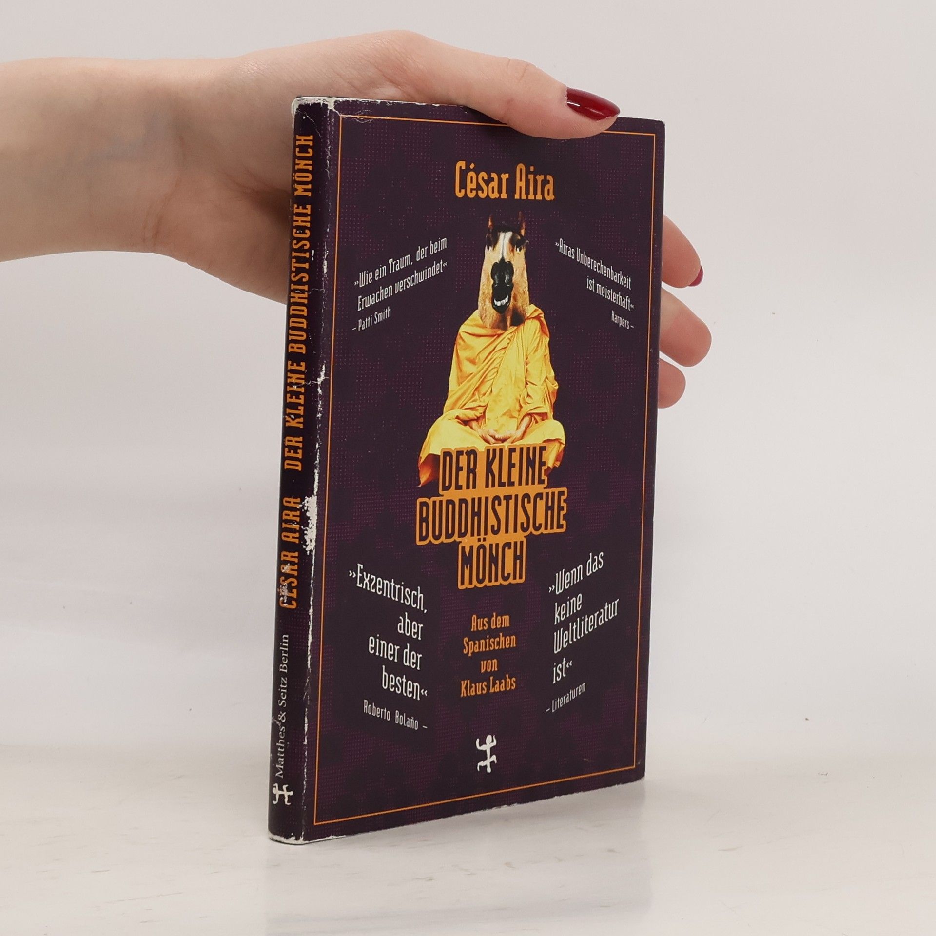 César Aira Der kleine buddhistische Mönch