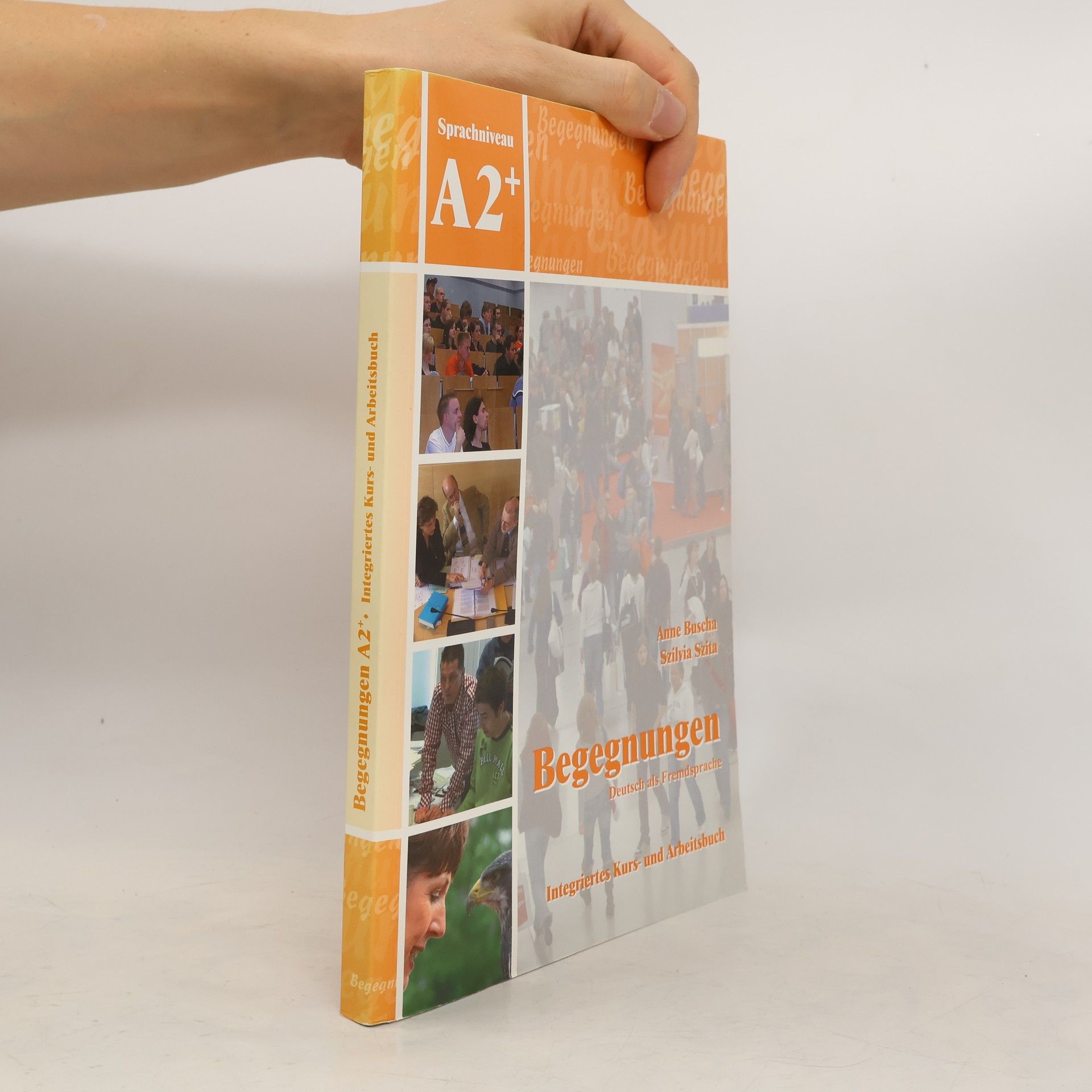 Begegnungen. Sprachniveau A2+, Integriertes Kurs- und Arbeitsbuch