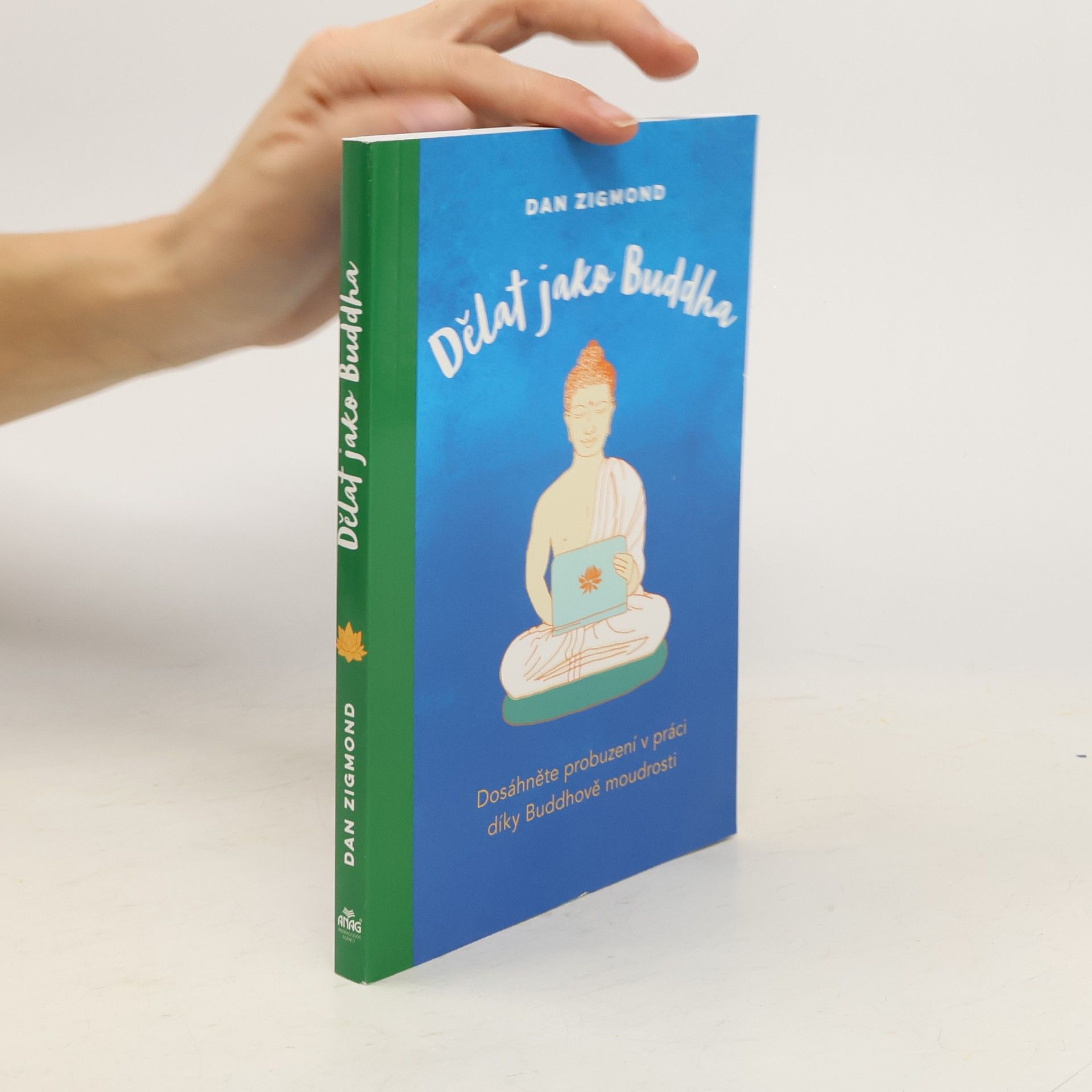 Dan Zigmond Dělat jako Buddha