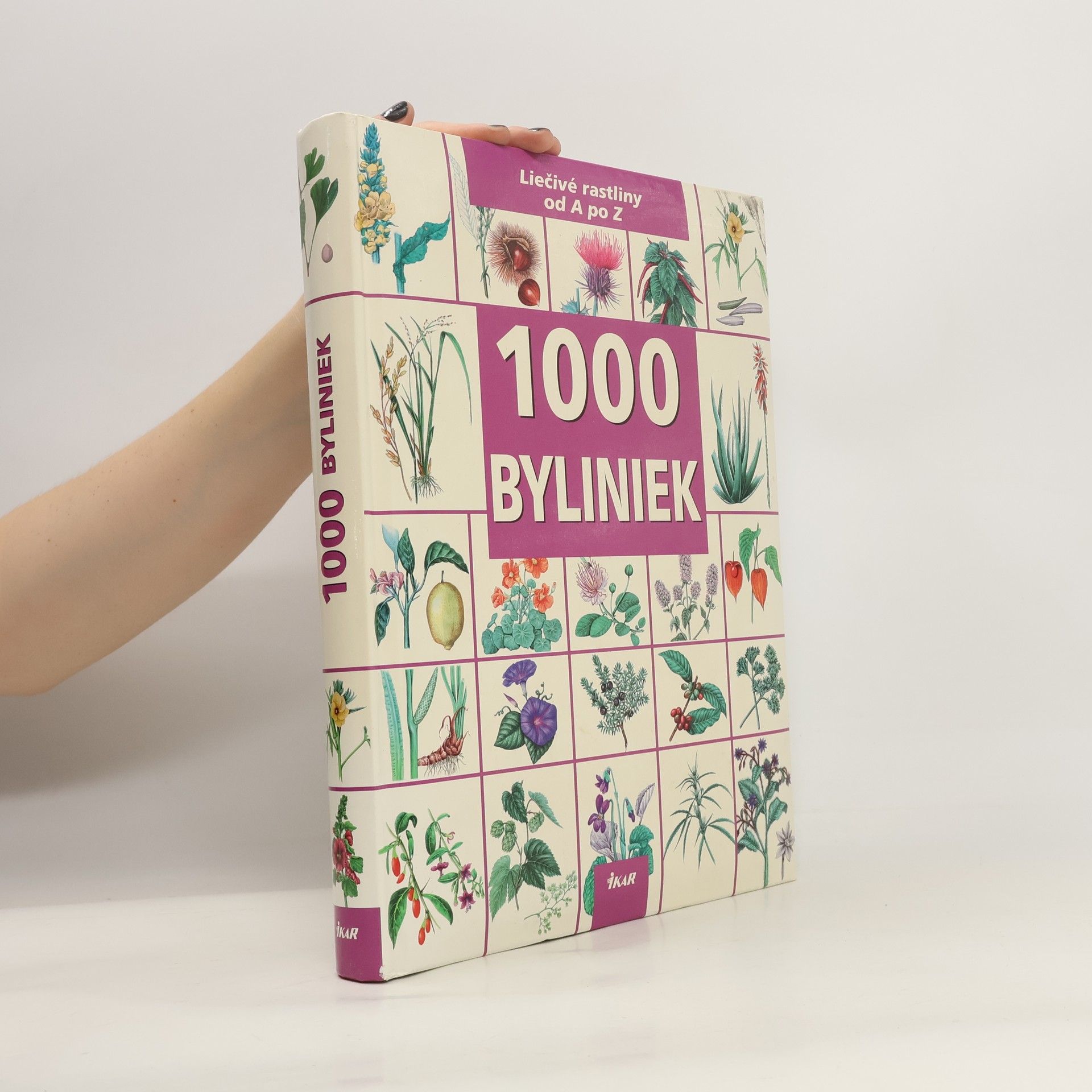 Hnas W. Kothe 1000 byliniek