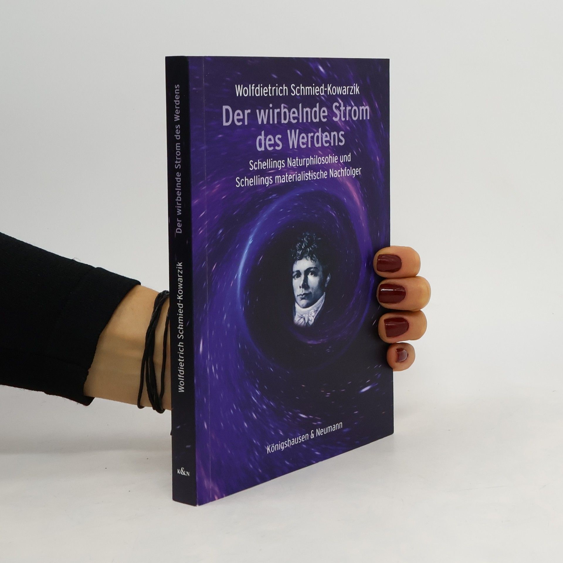 Wolfdietrich Schmied-Kowarzik Der wirbelnde Strom des Werdens