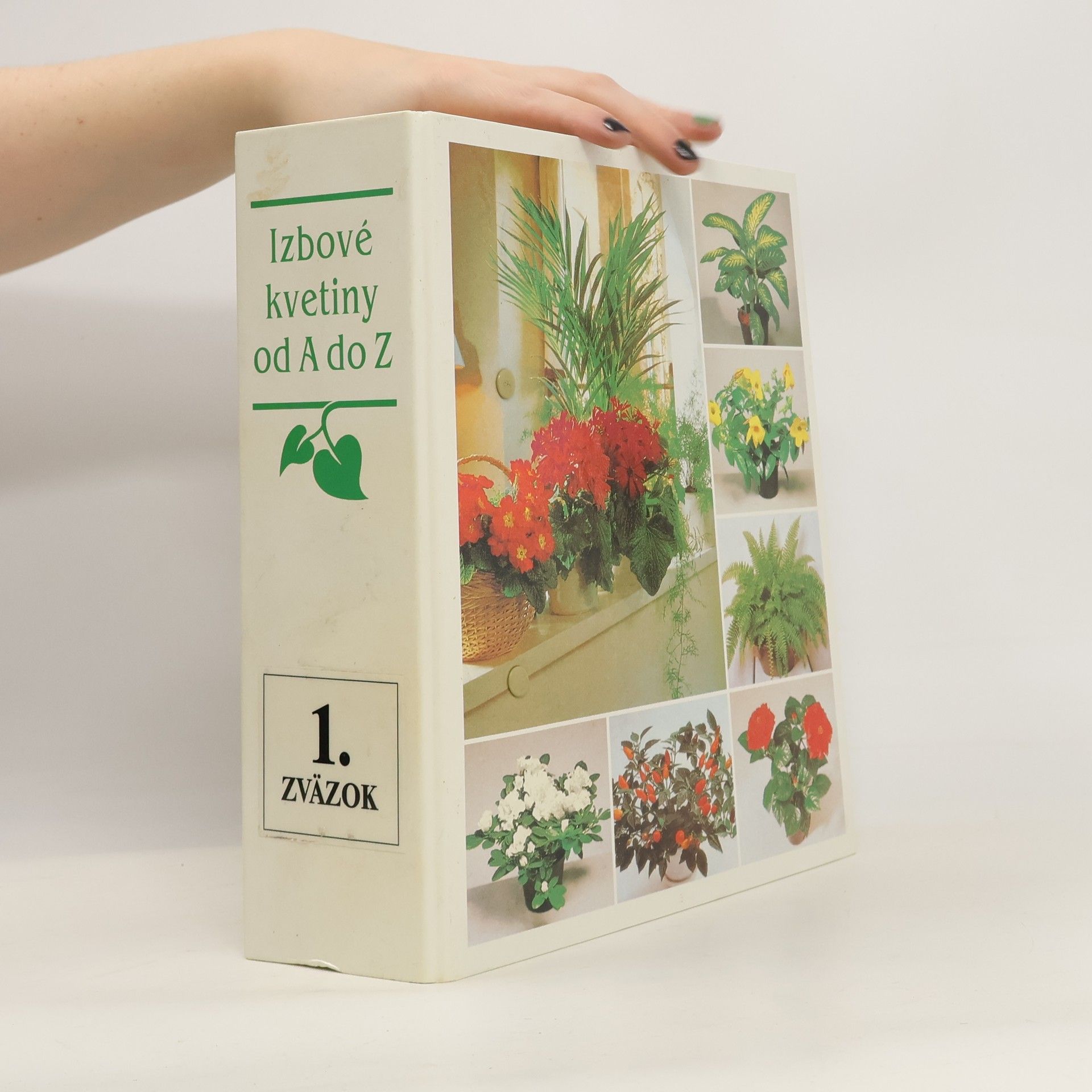 Collectif d'auteurs Izbové kvetiny od A do Z. 1. zväzok