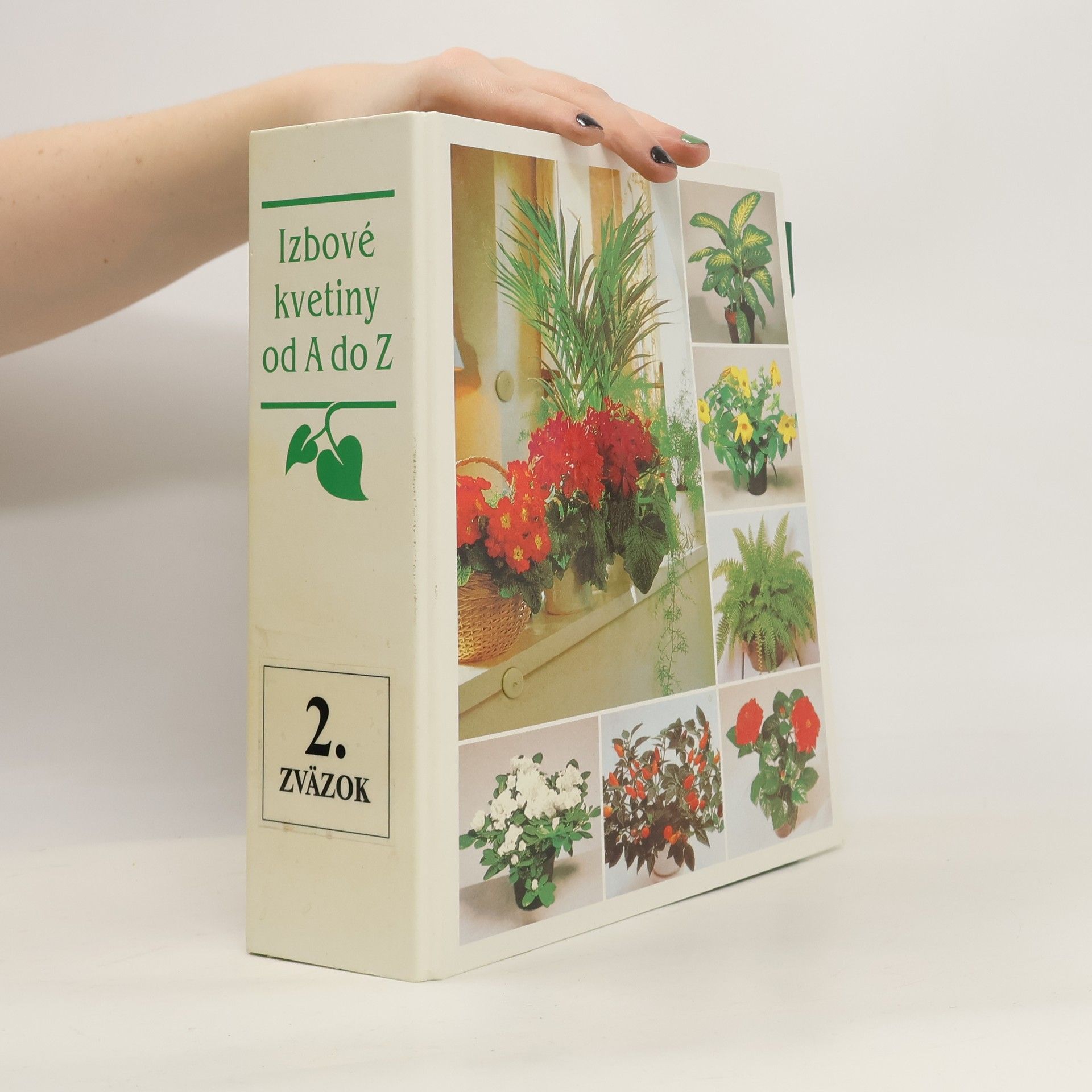 Collectif d'auteurs Izbové kvetiny od A do Z. 2. zväzok