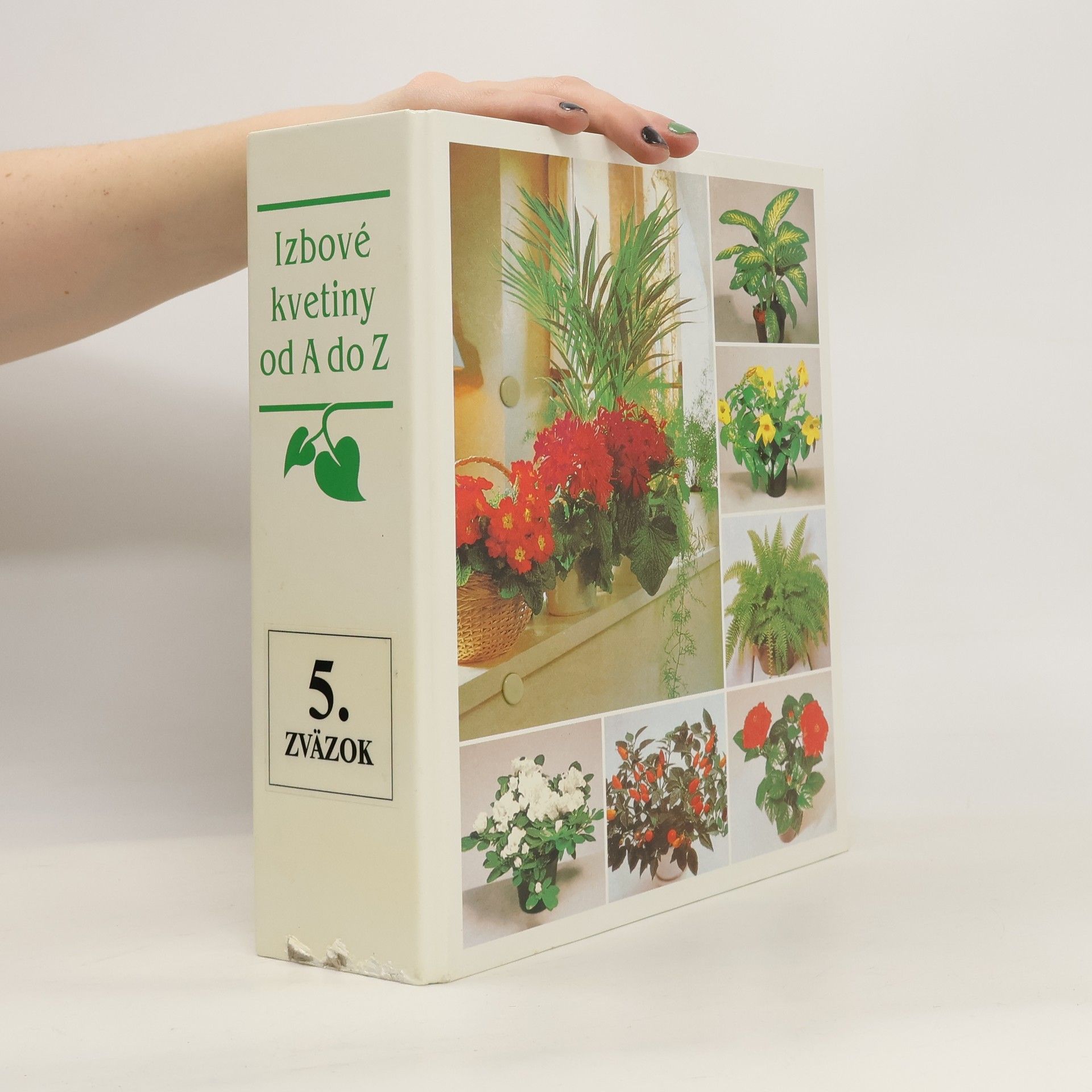 Collectif d'auteurs Izbové kvetiny od A do Z. 5. zvazok