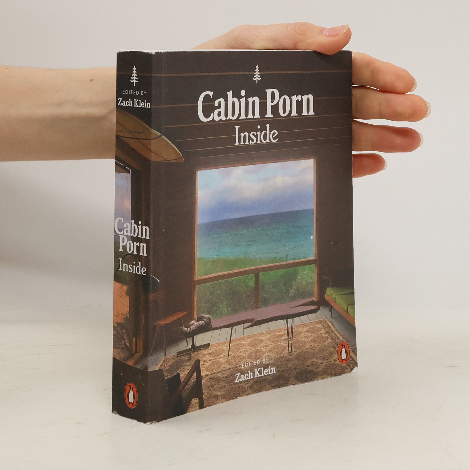Cabin Porn: Inside