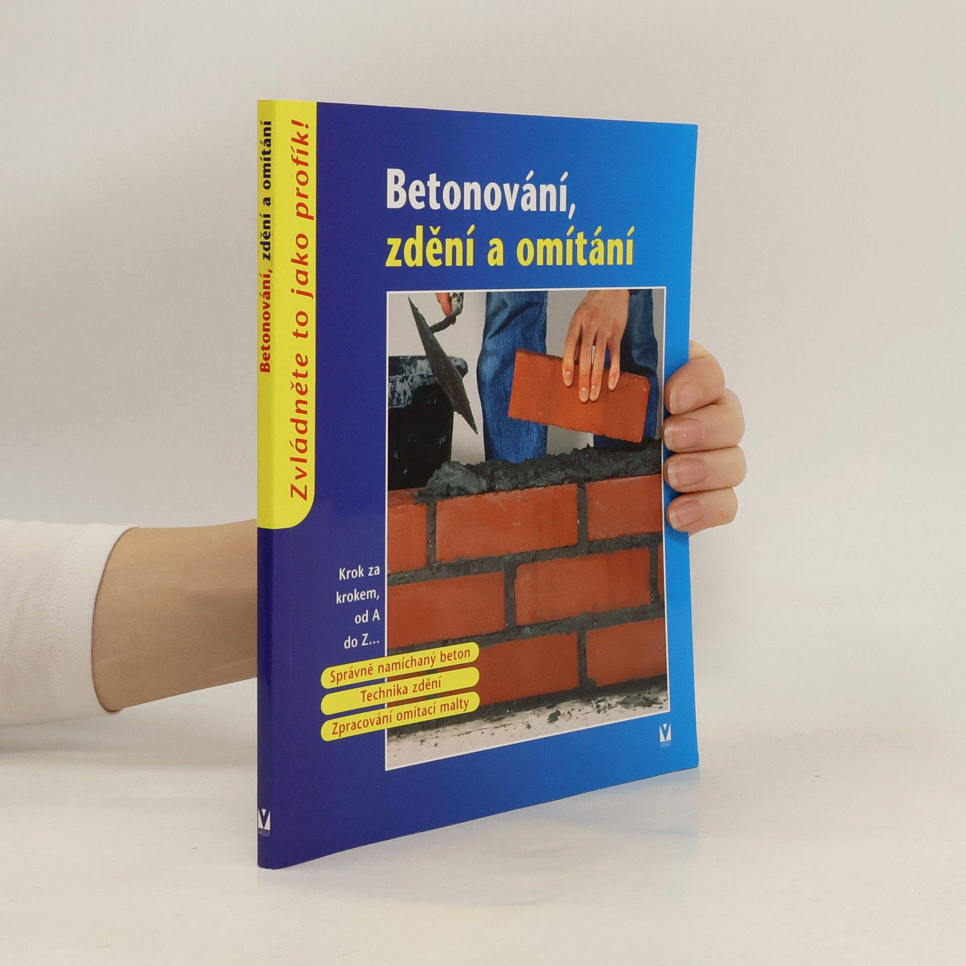 Kolektiv autorů Betonování, zdění a omítání