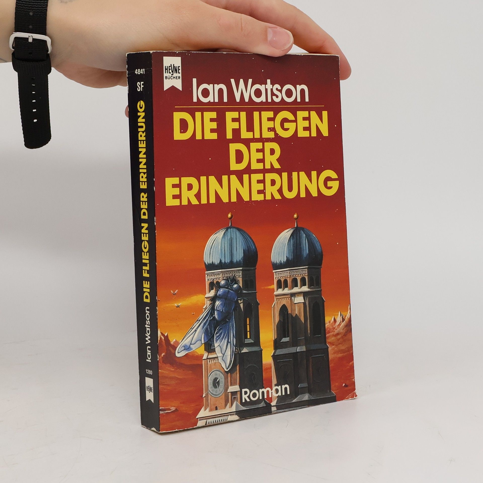 Die Fliegen der Erinnerung. Roman.