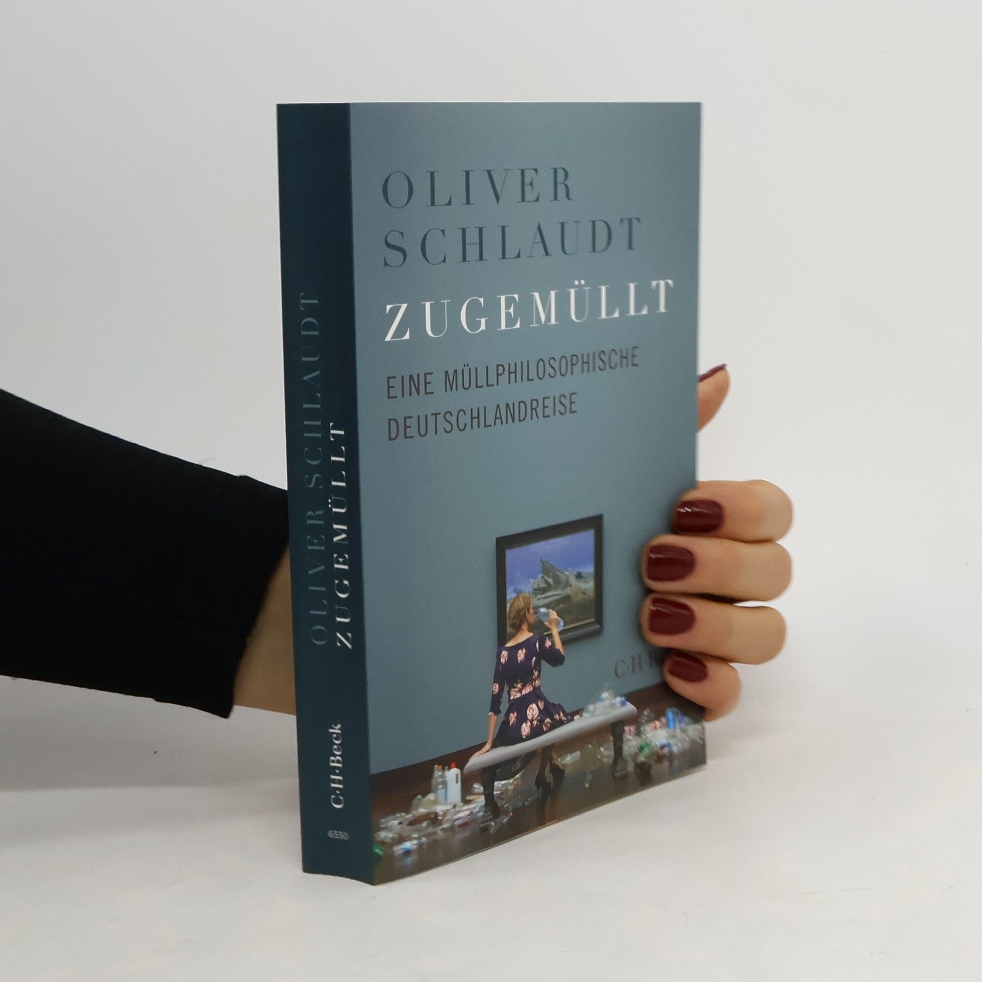 Oliver Schlaudt Zugemüllt