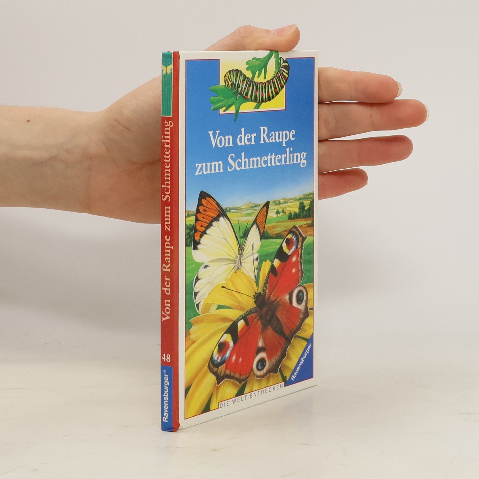 Collectif d'auteurs Von der Raupe zum Schmetterling