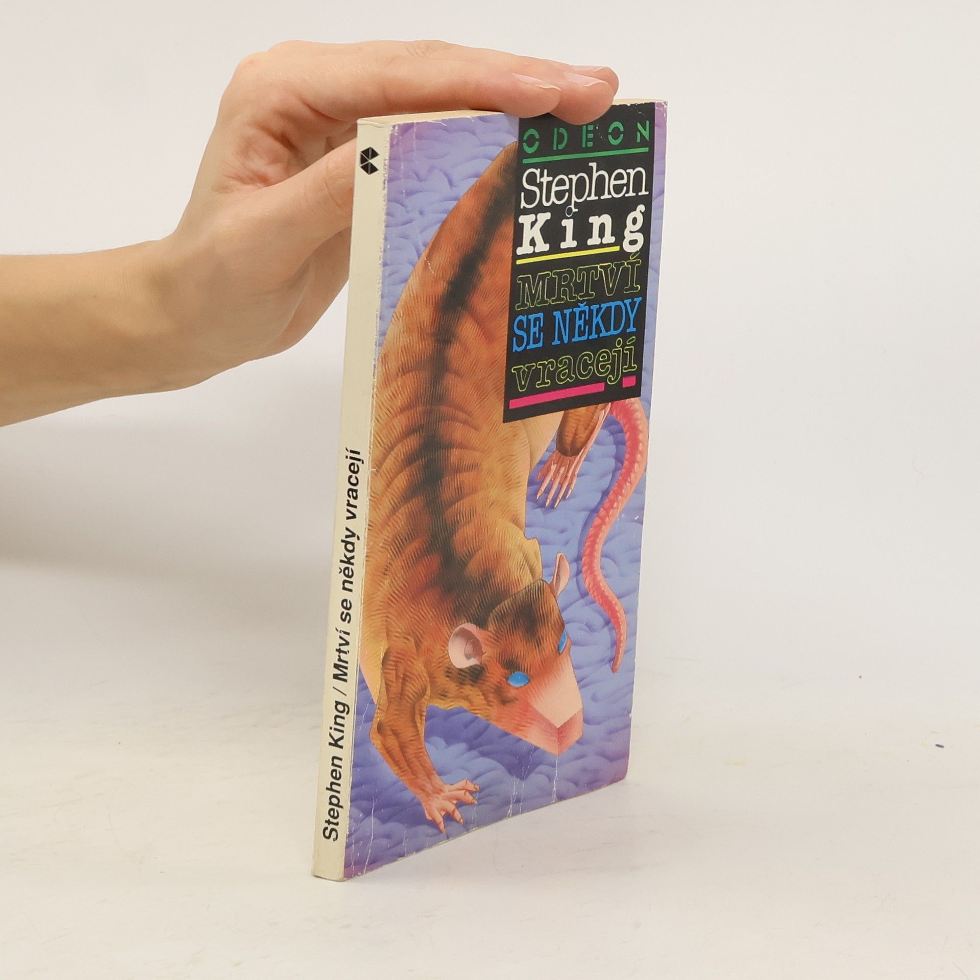 Stephen King Mrtví se někdy vracejí