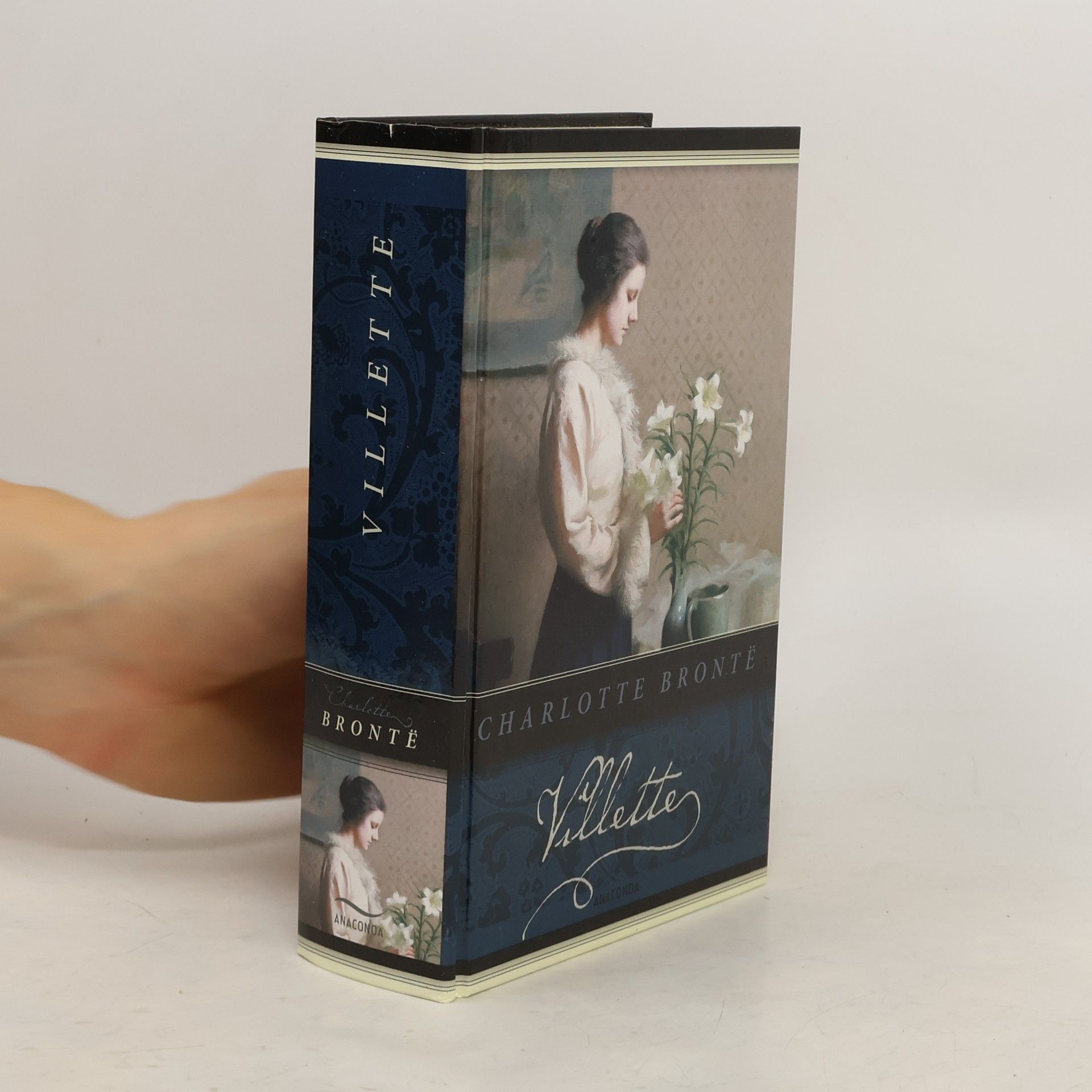 Charlotte Brontë Villette