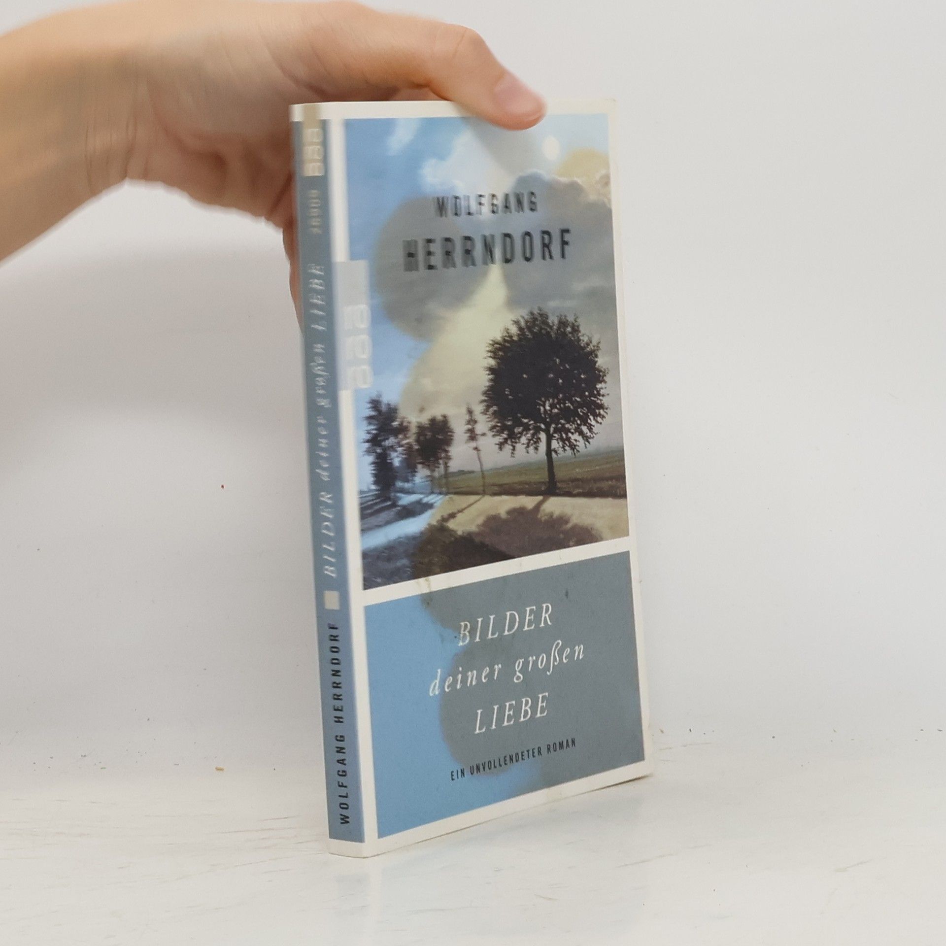 Bilder deiner großen Liebe