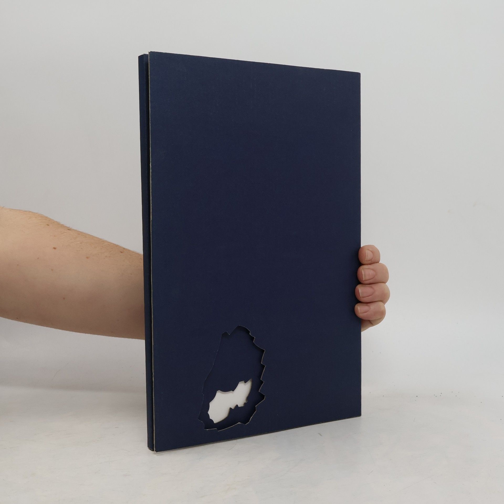 Collectif d'auteurs Z pokladnice národních koled