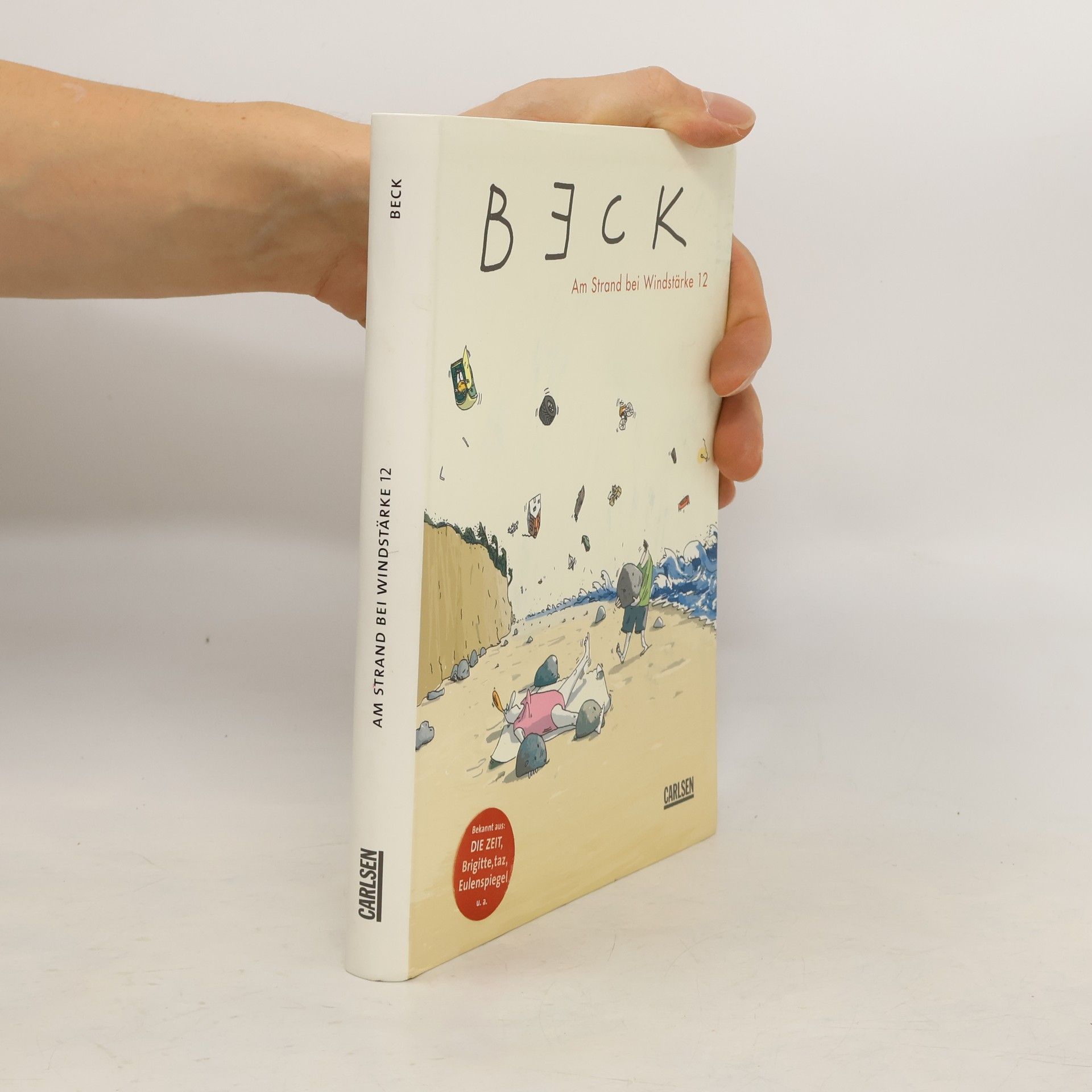 Beck Am Strand bei Windstärke 12