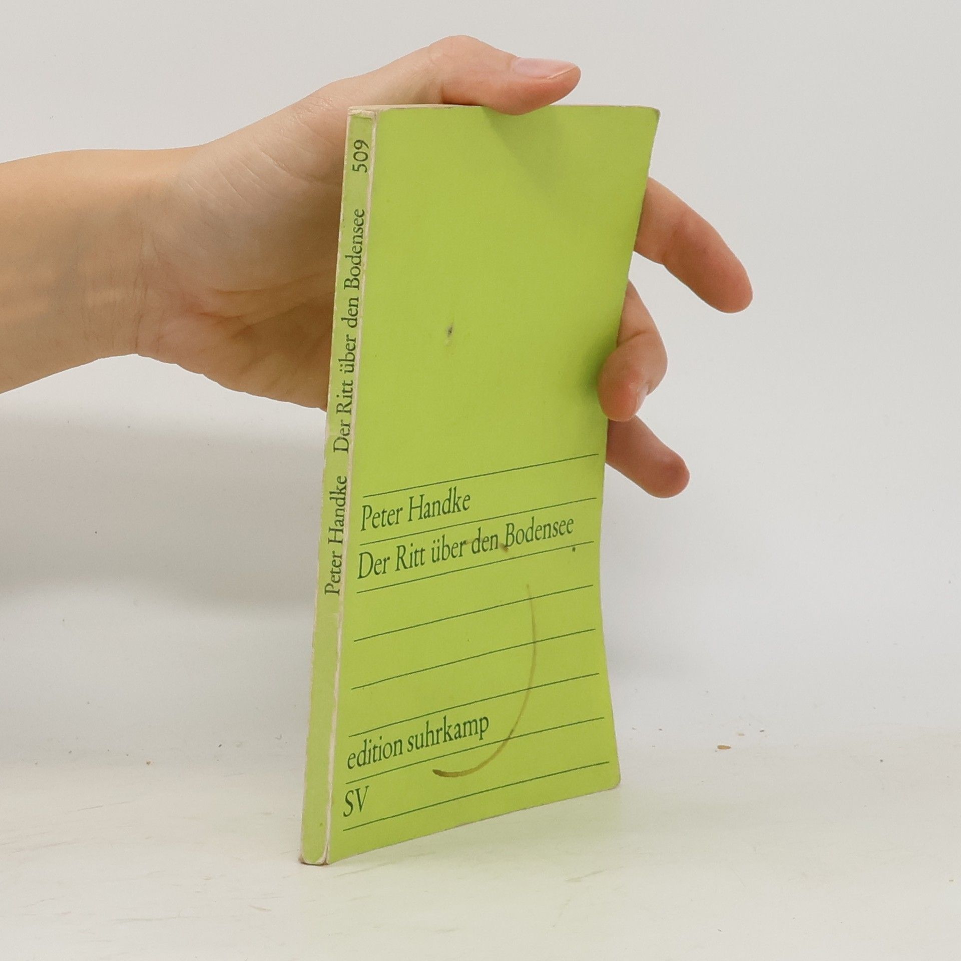 Peter Handke Der Ritt über den Bodensee