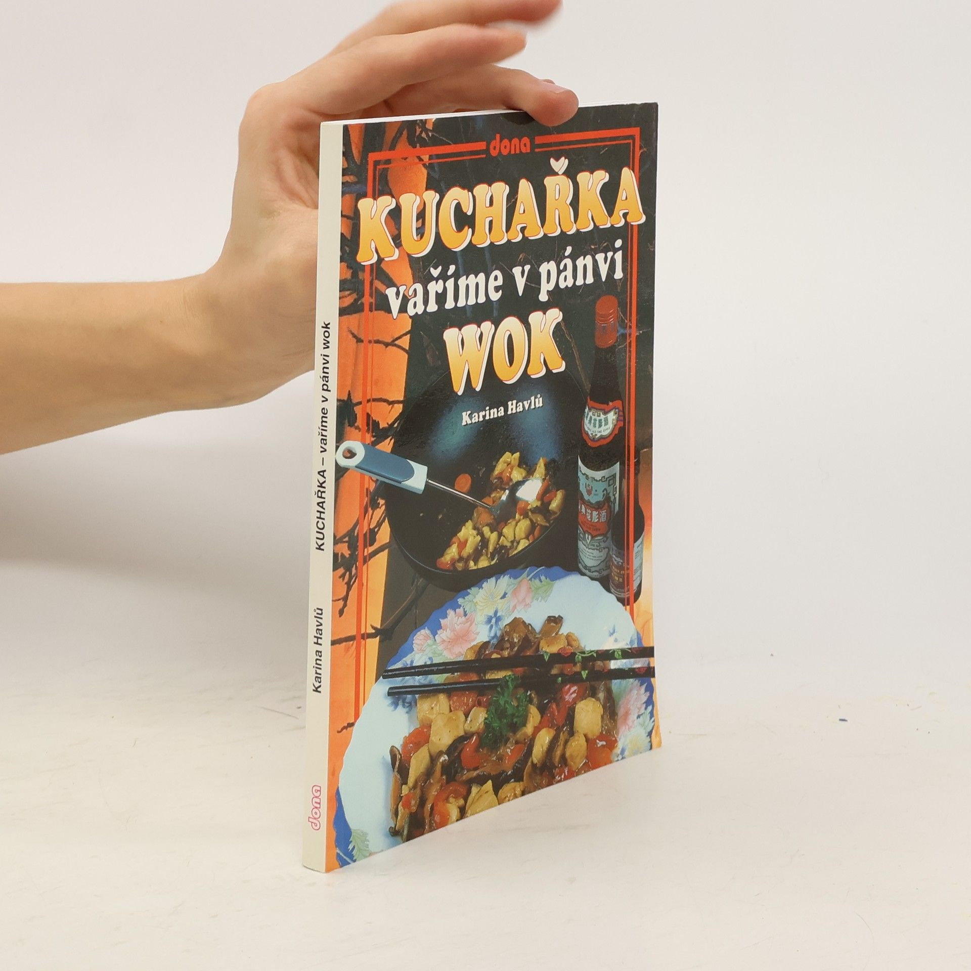 Vaříme v pánvi WOK