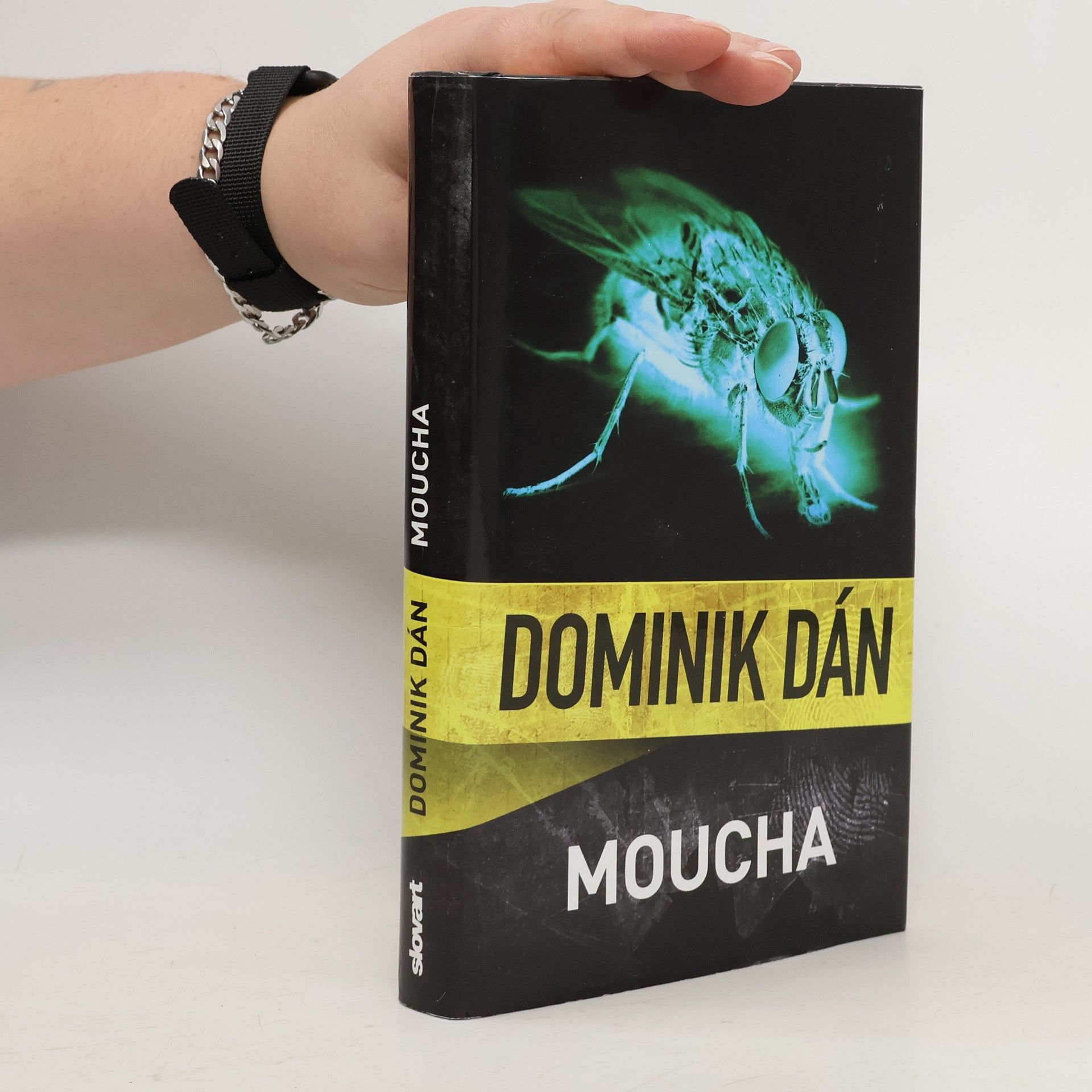 Dominik Dán Moucha