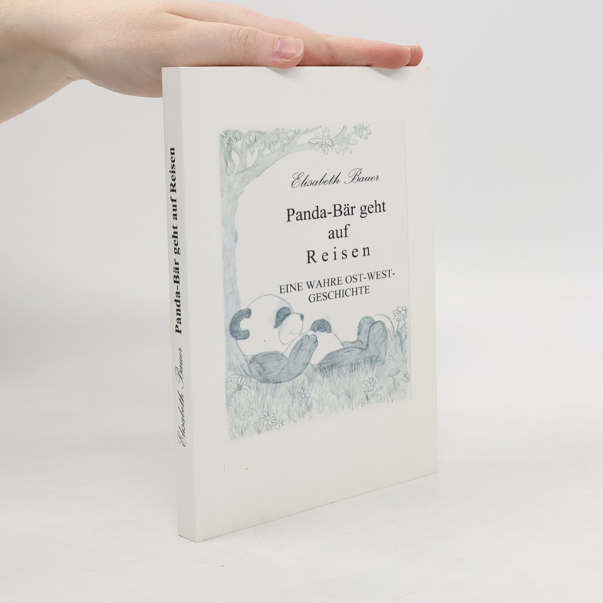 Panda-Bär geht auf Reisen