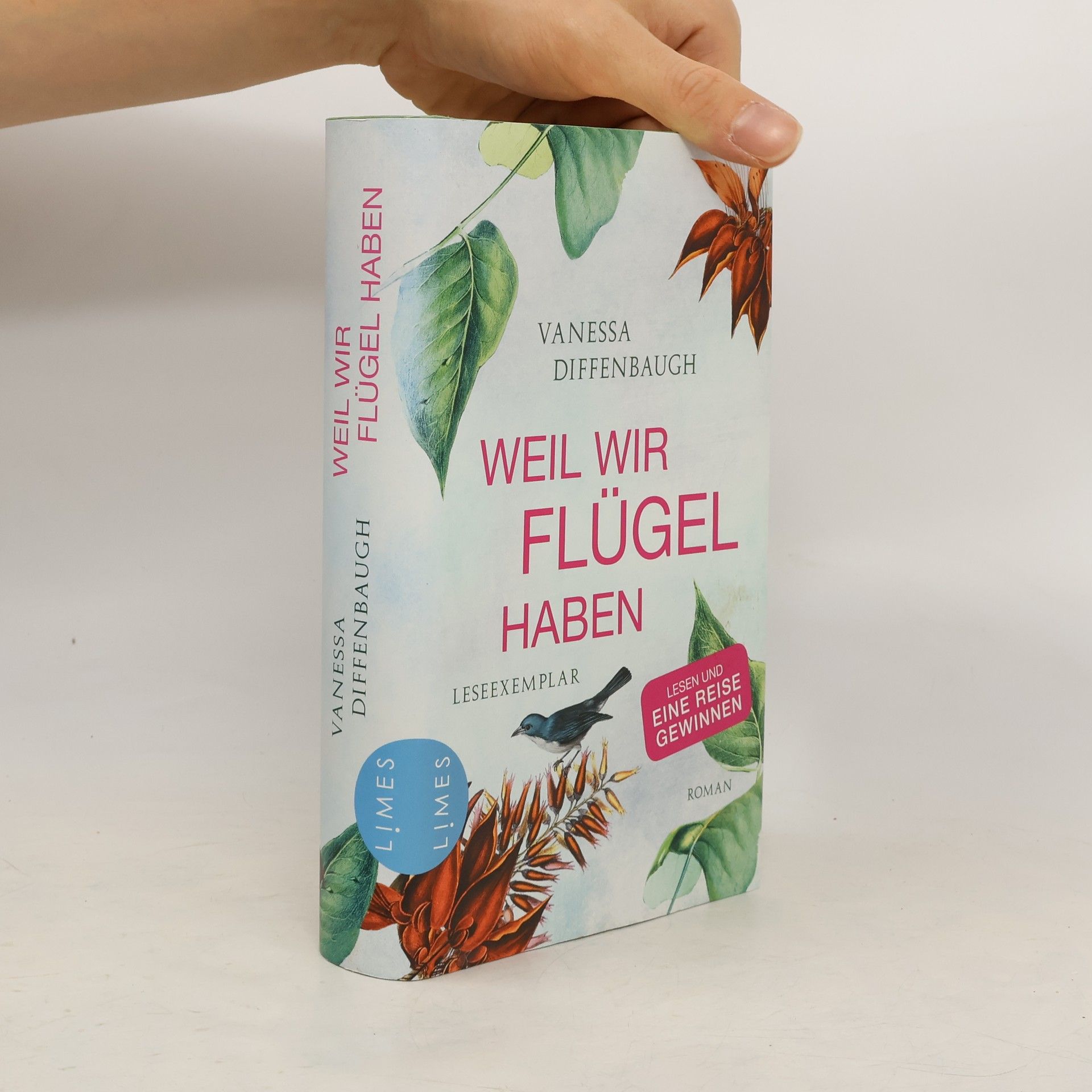 Vanessa Diffenbaugh Weil wir Flügel haben