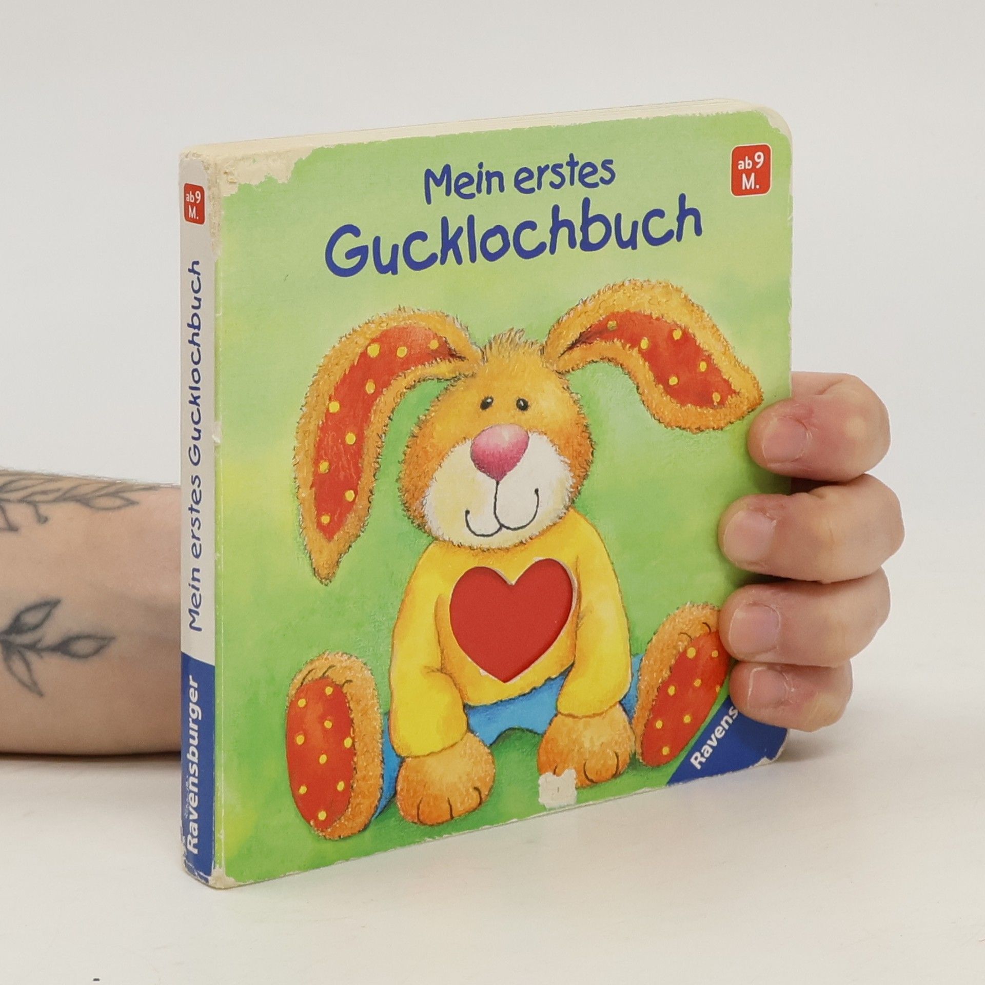 Ruth Scholte van Mast Mein erstes Gucklochbuch