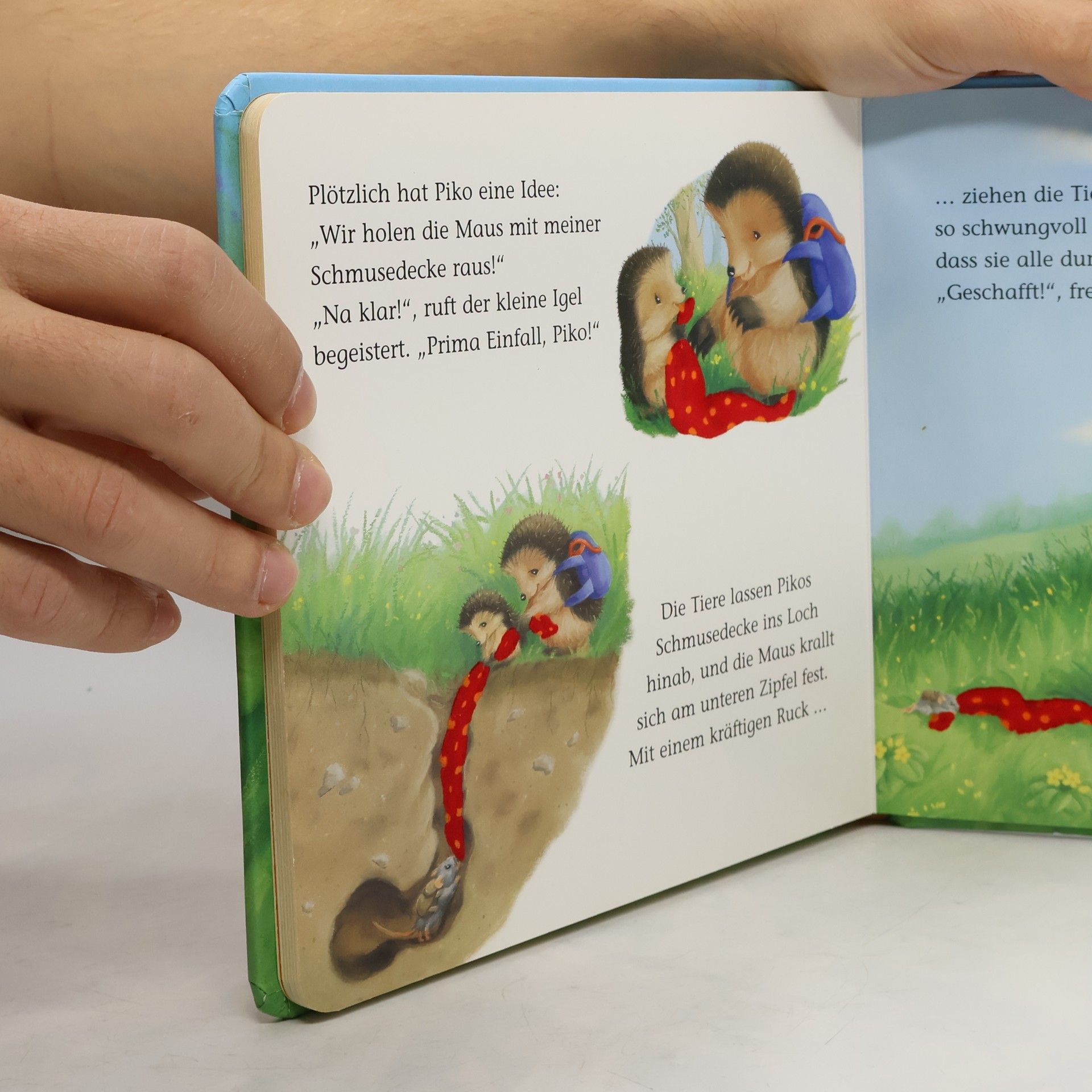 Autorenkollektiv Der kleine Igel und die rote Schmusedecke