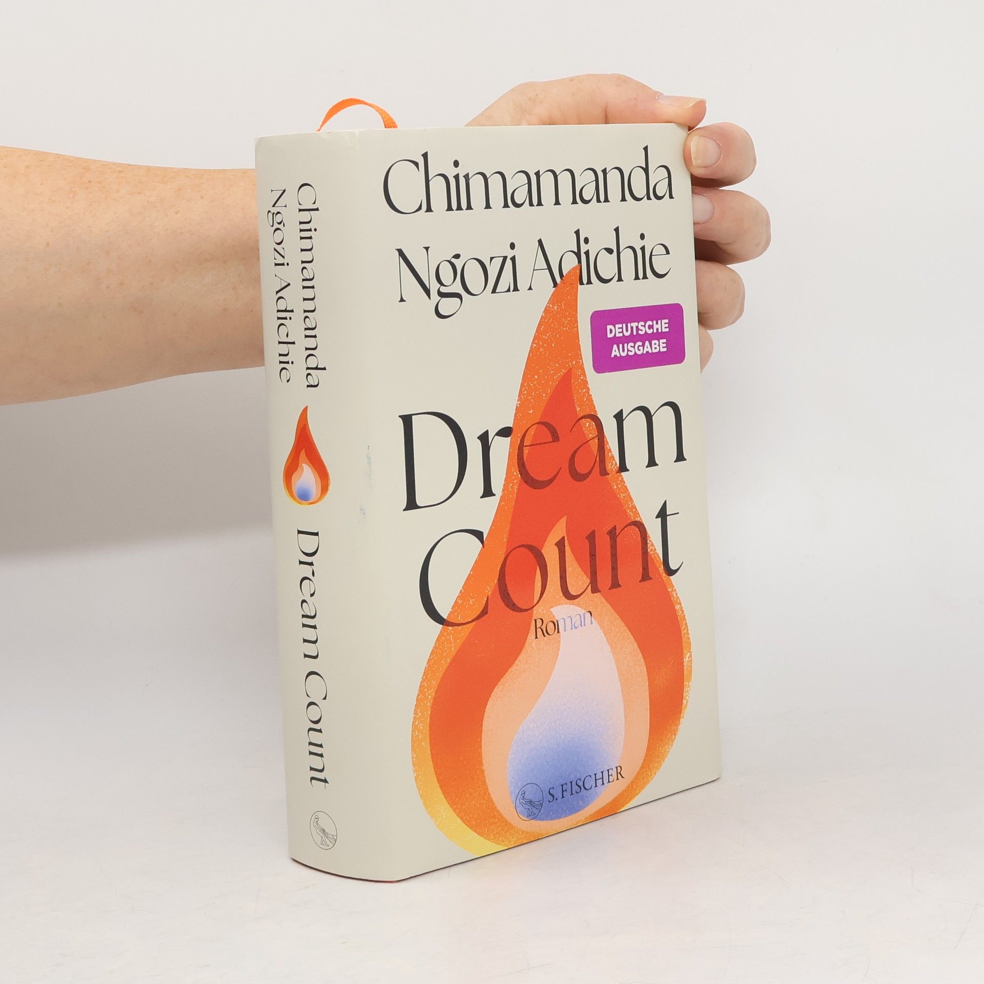 Chimamanda Ngozi Adichie Dream Count