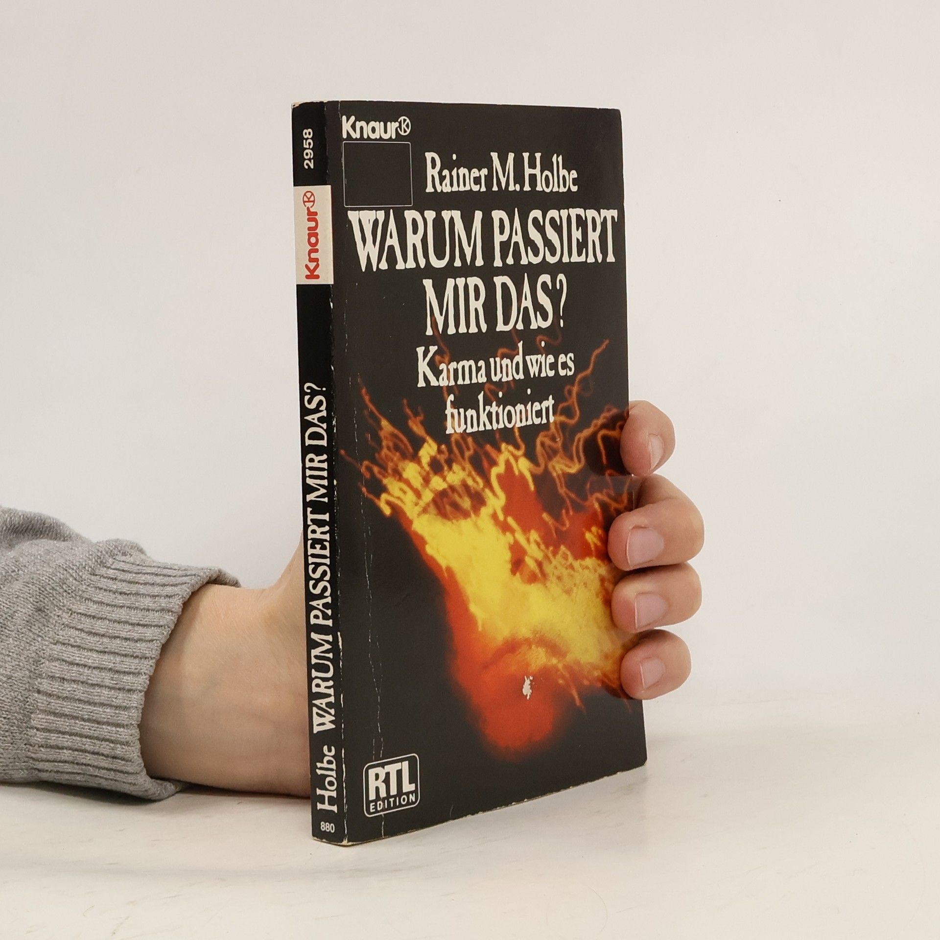 Rainer Holbe Warum passiert mir das?