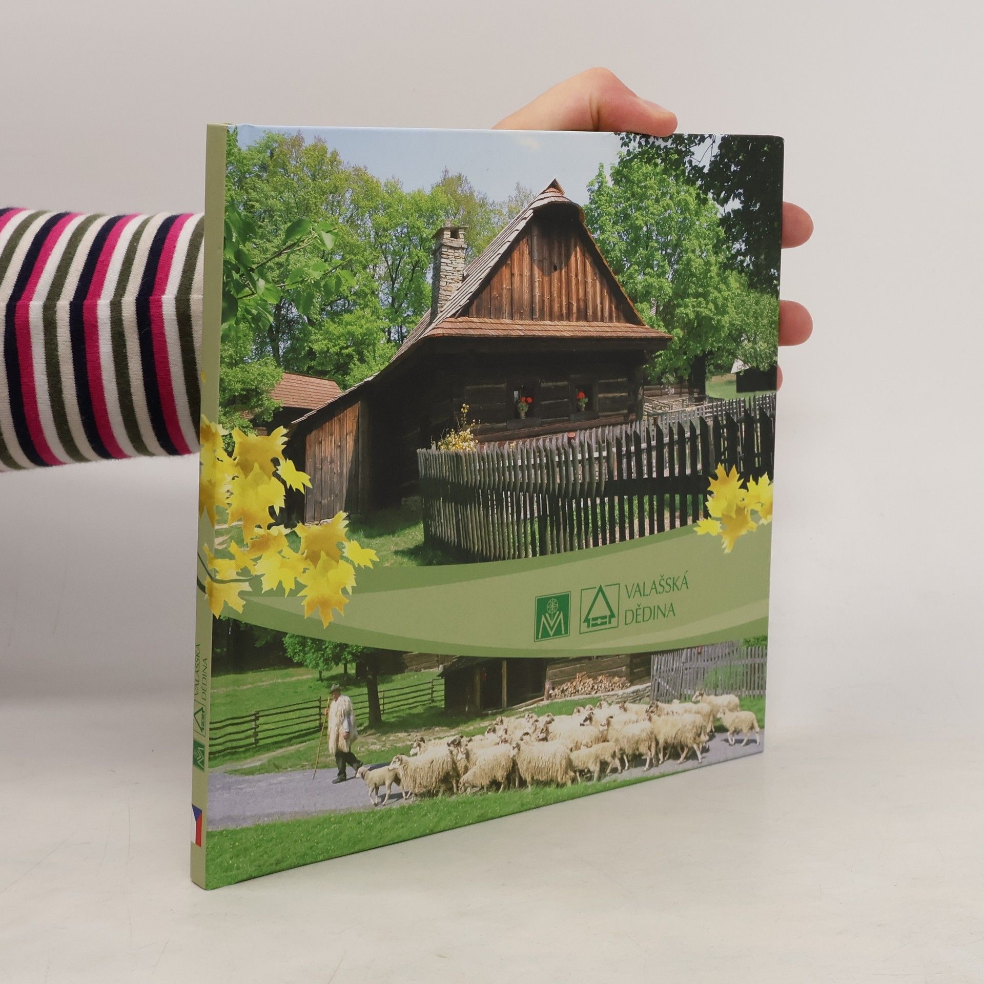 Various authors Valašská dědina