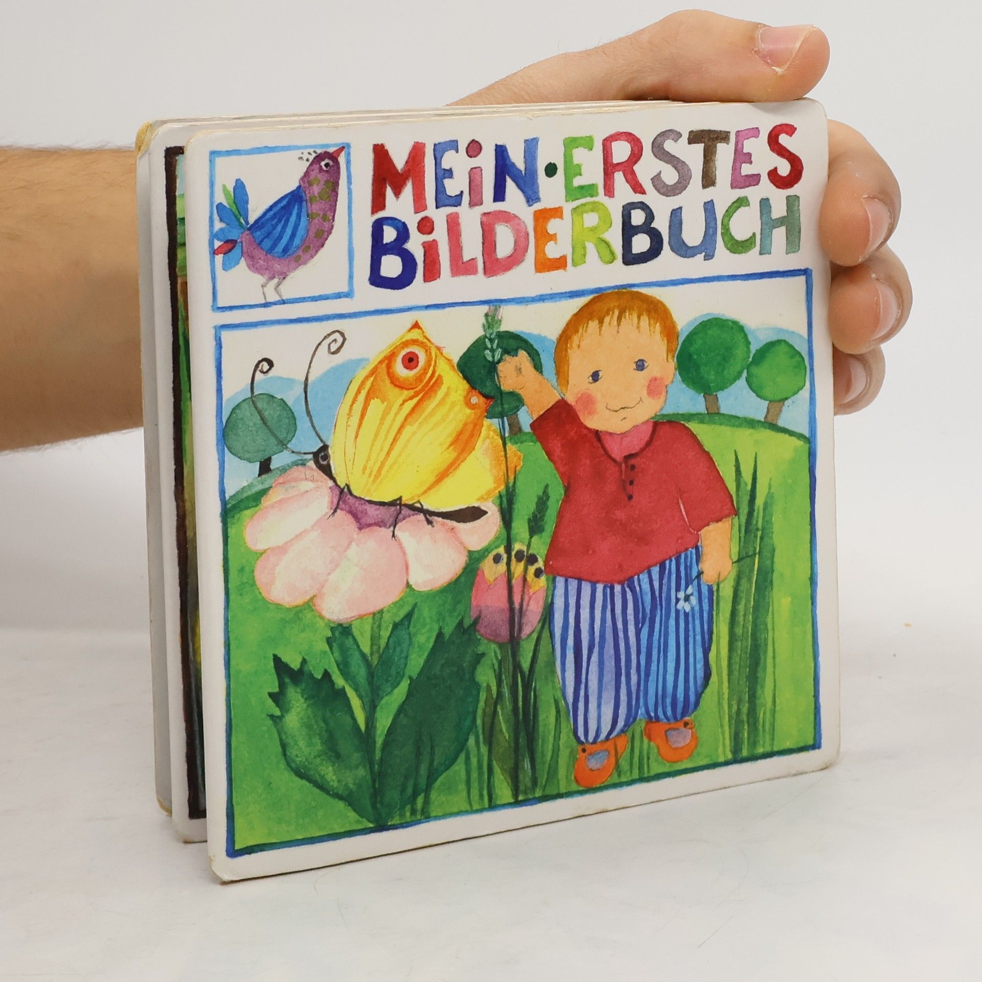 Eva-Maria Ott-Heidmann Mein erstes Bilderbuch