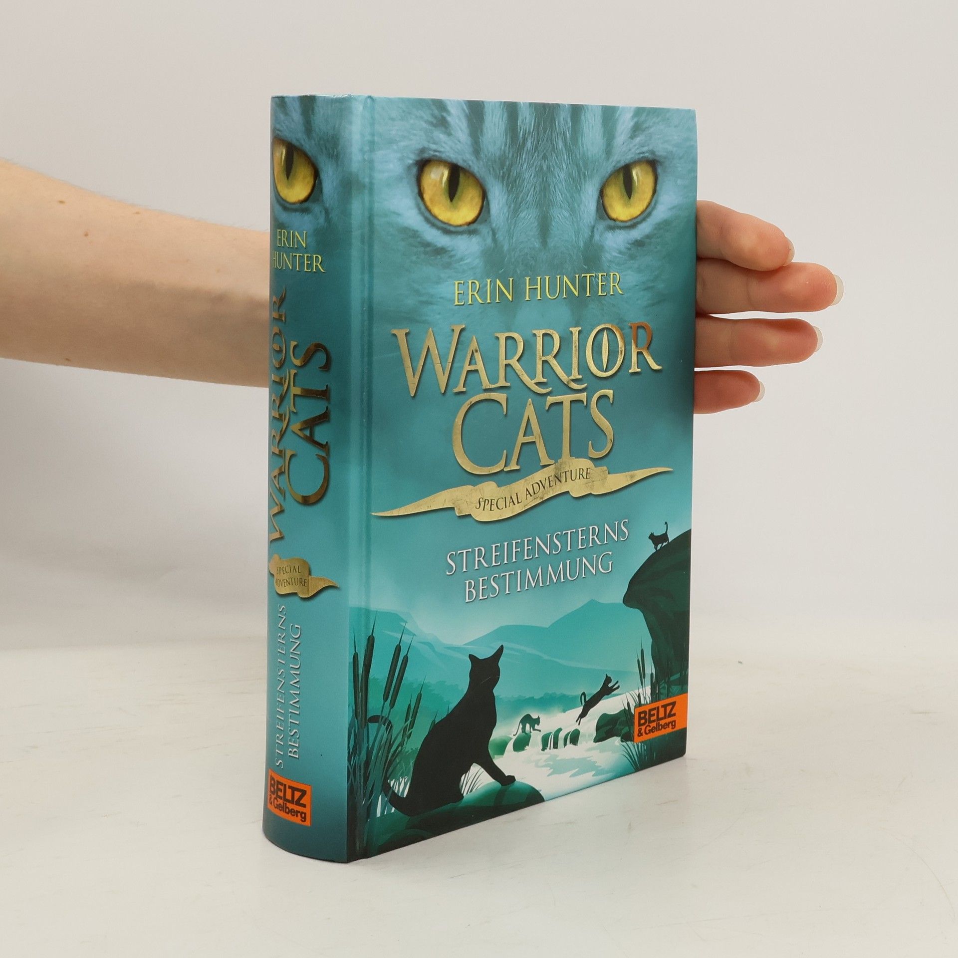 Warrior cats - special adventure