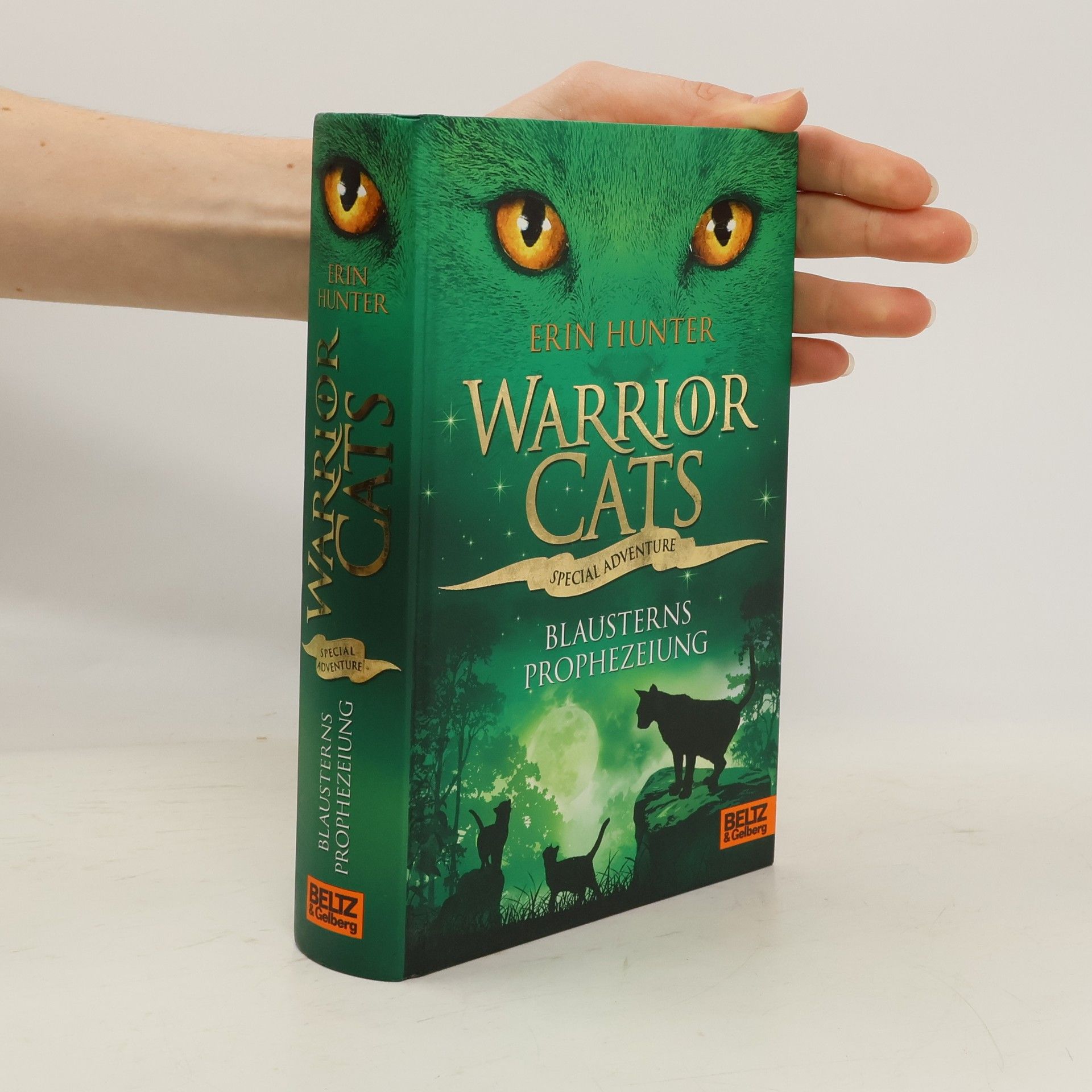 Erin Hunter Warrior cats. Special Adventure