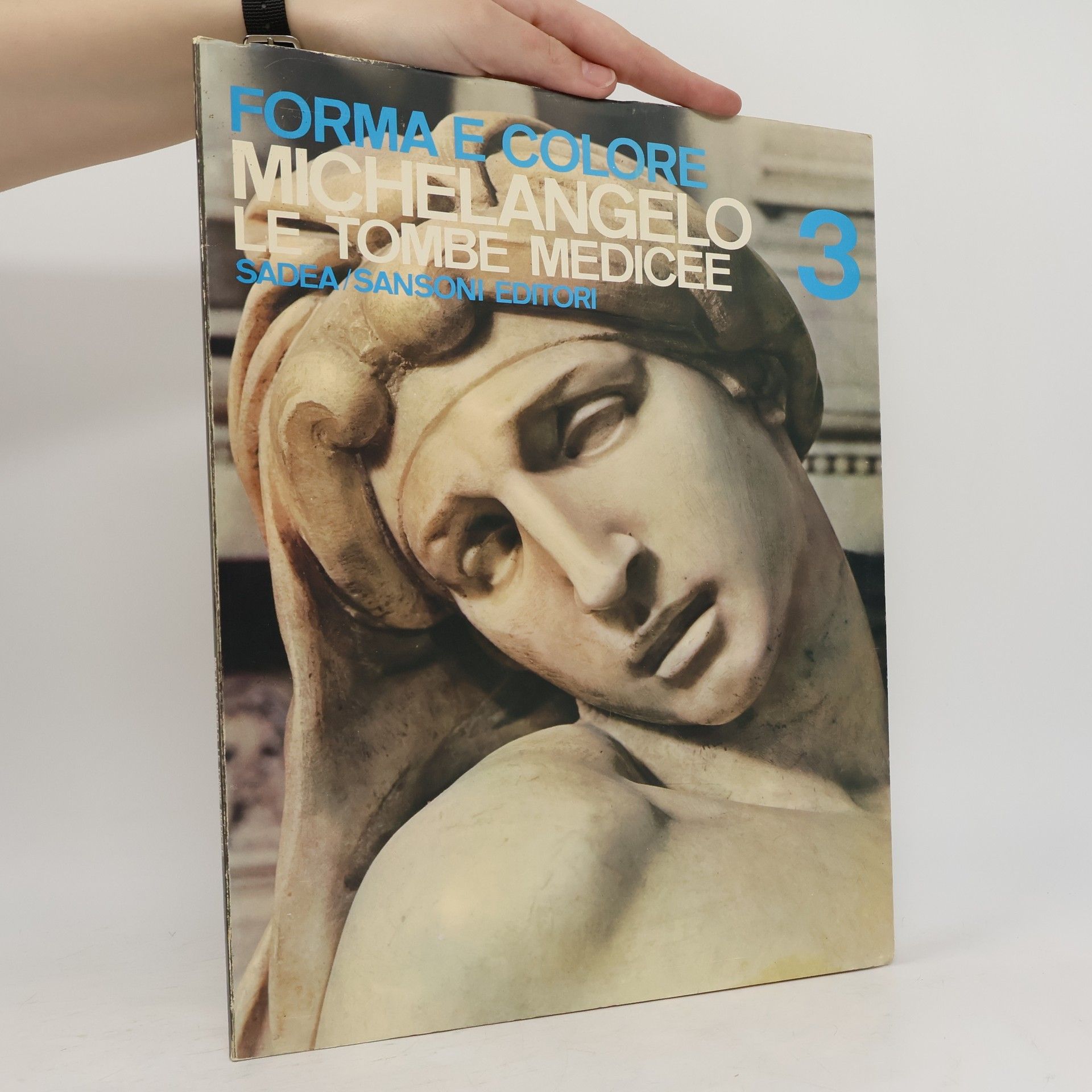 Autorenkollektiv Forma e colore 3. Michelangelo. Le tombe medicee