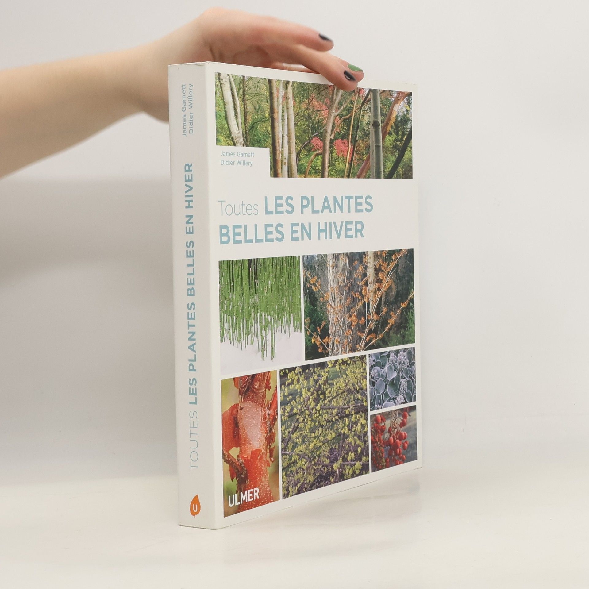 Toutes les plantes belles en hiver