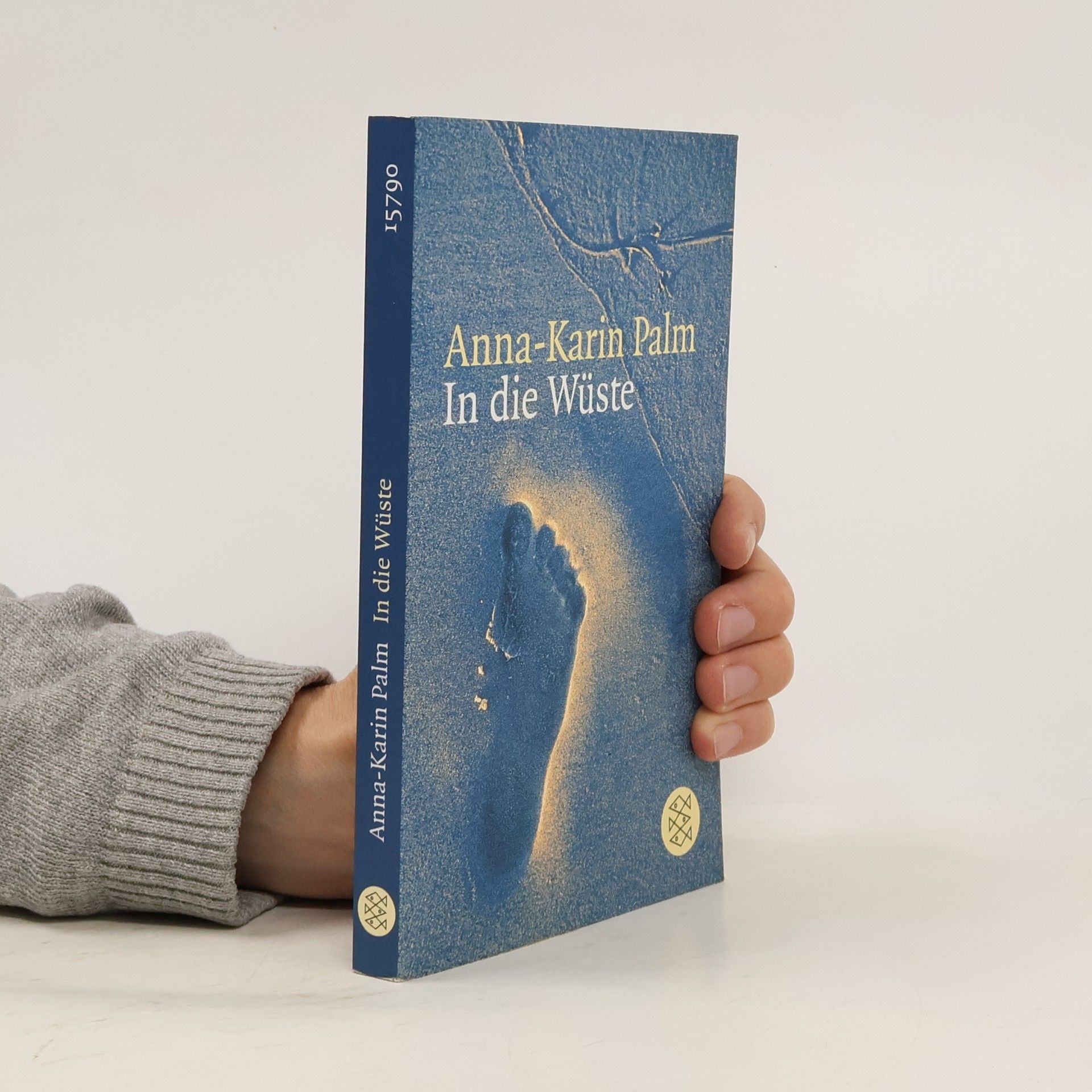 Anna-Karin Palm In die Wüste