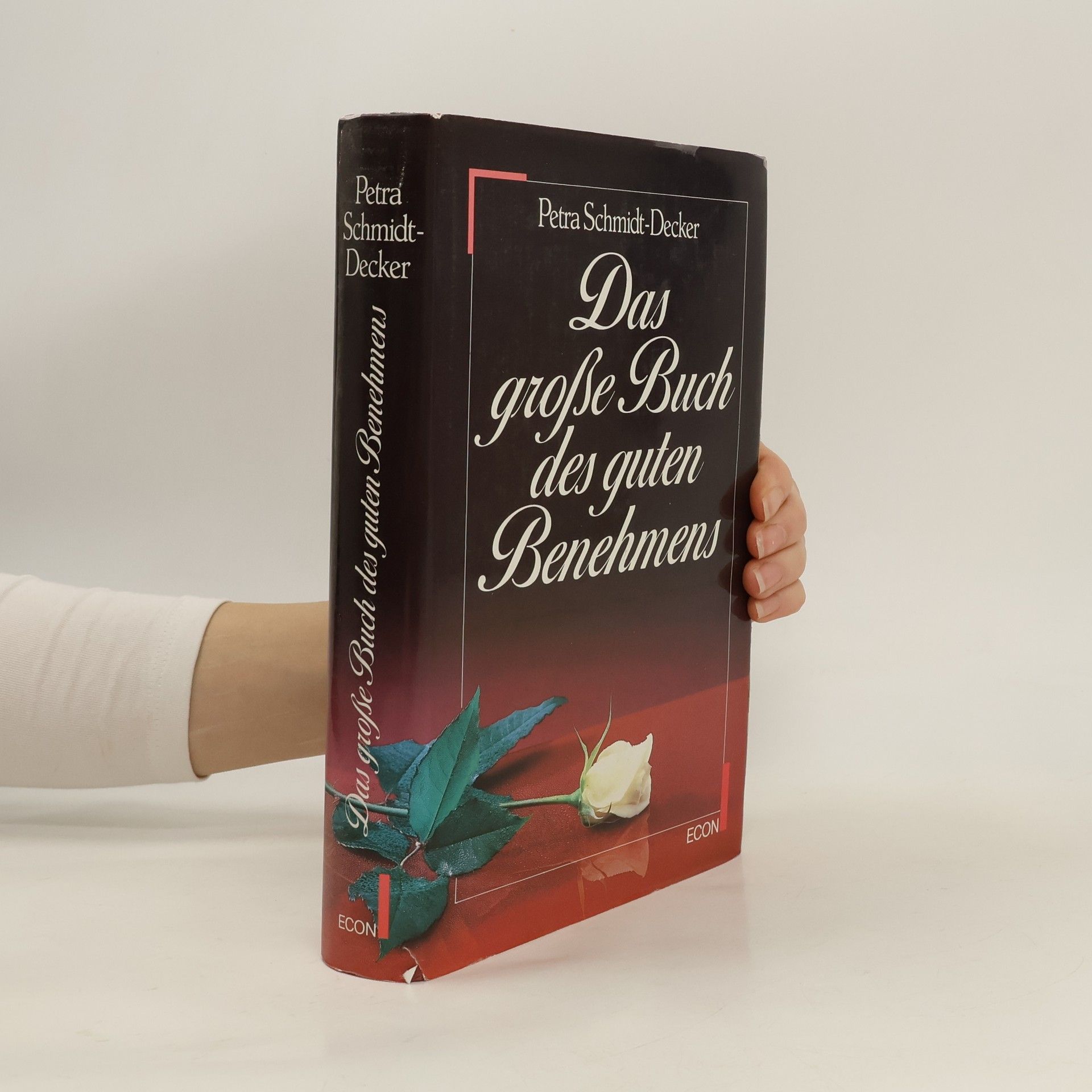 Das große Buch des guten Benehmens