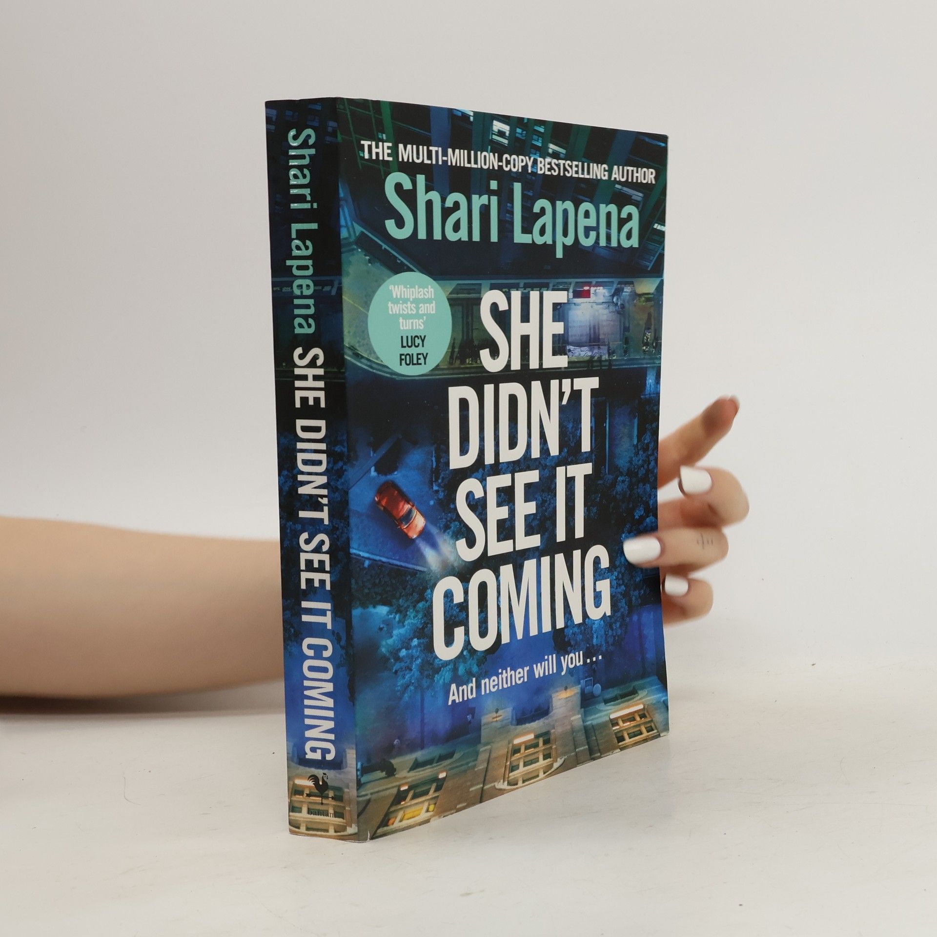 Shari Lapena She Didn't See It Coming