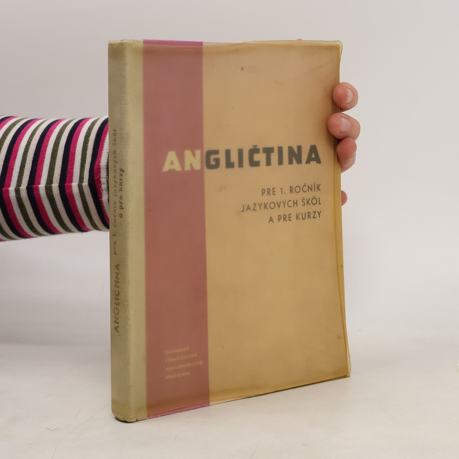 Autorenkollektiv Angličtina pre 1. ročník jazykových škôl a pre kurzy