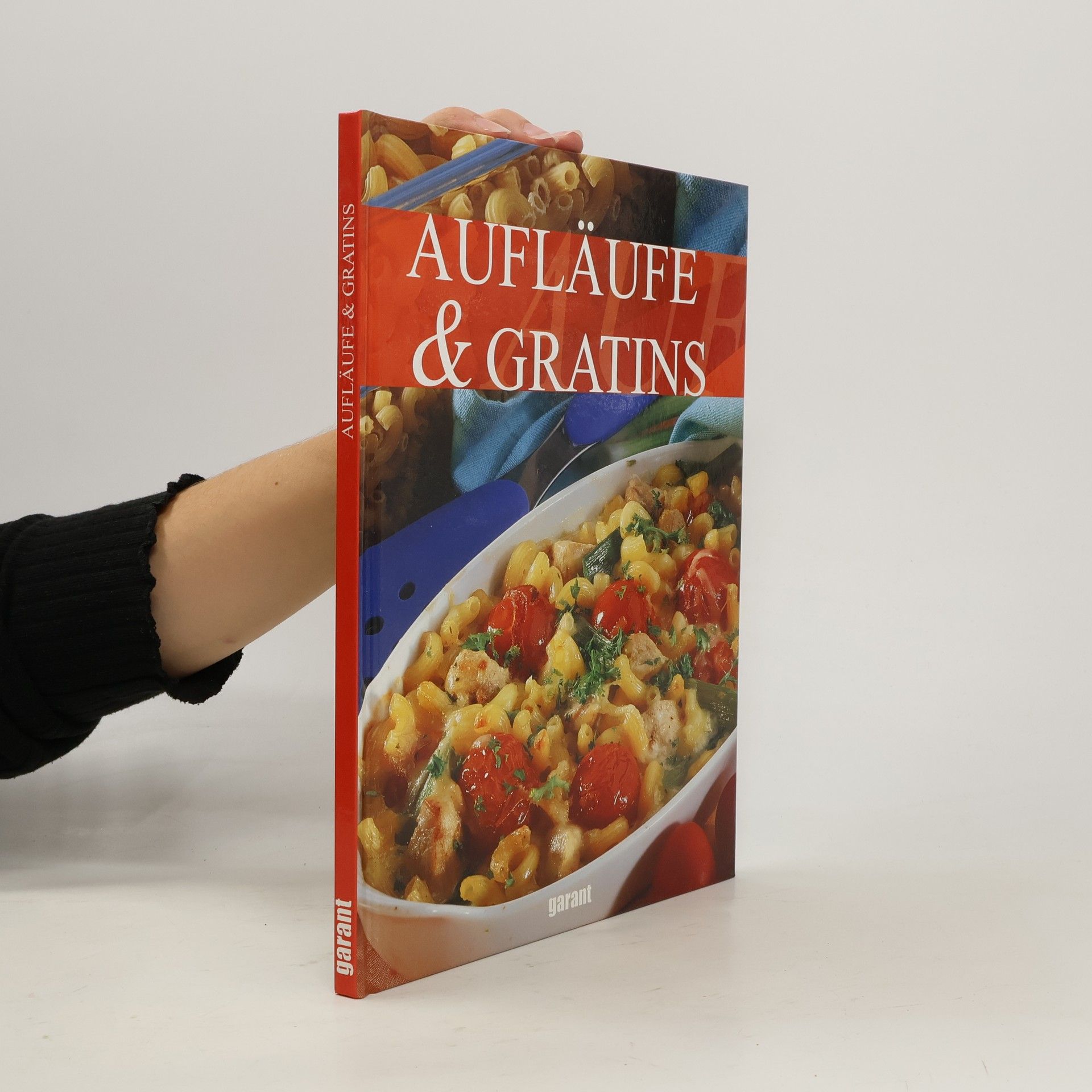 Autorenkollektiv Aufläufe & Gratins