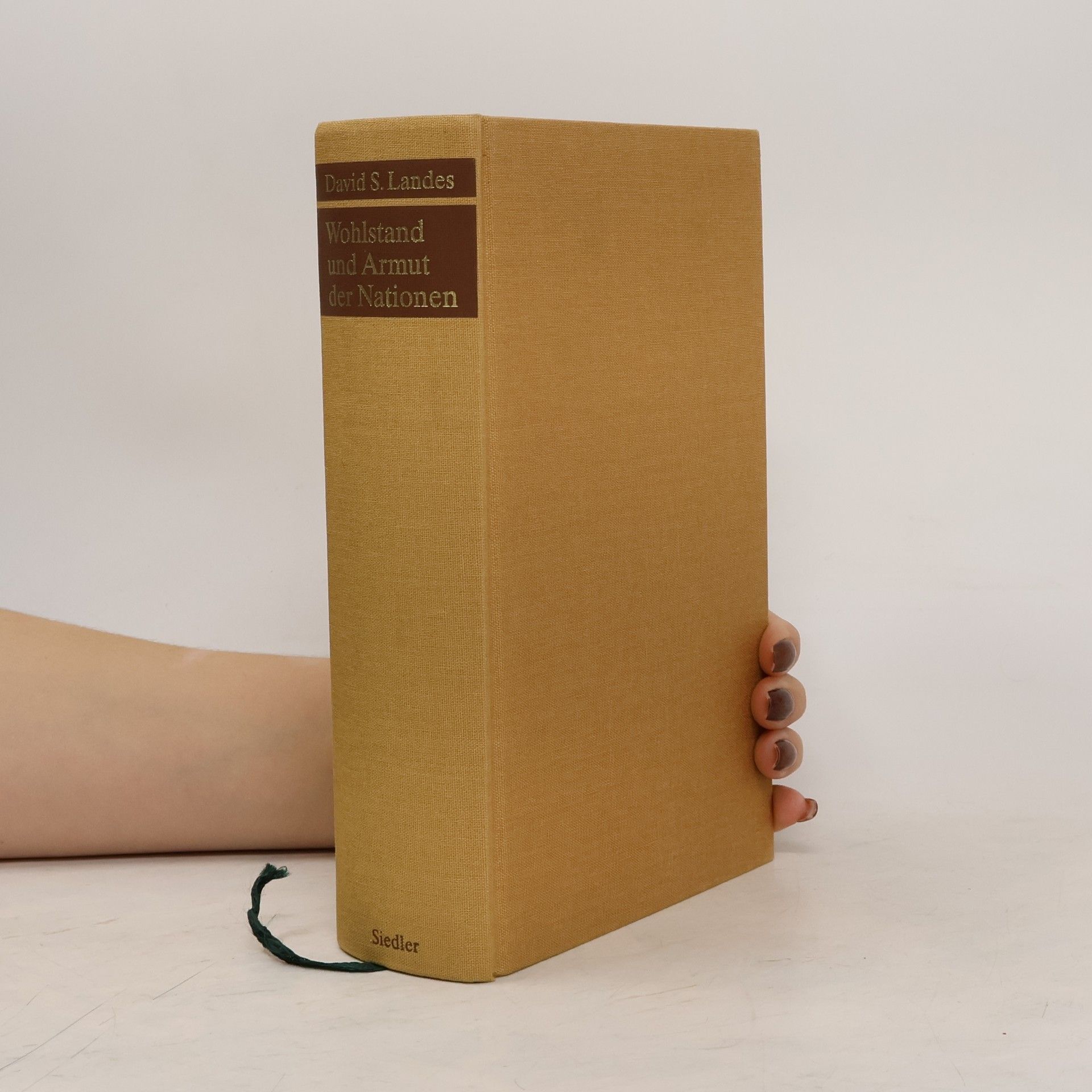 David Landes Wohlstand und Armut der Nationen
