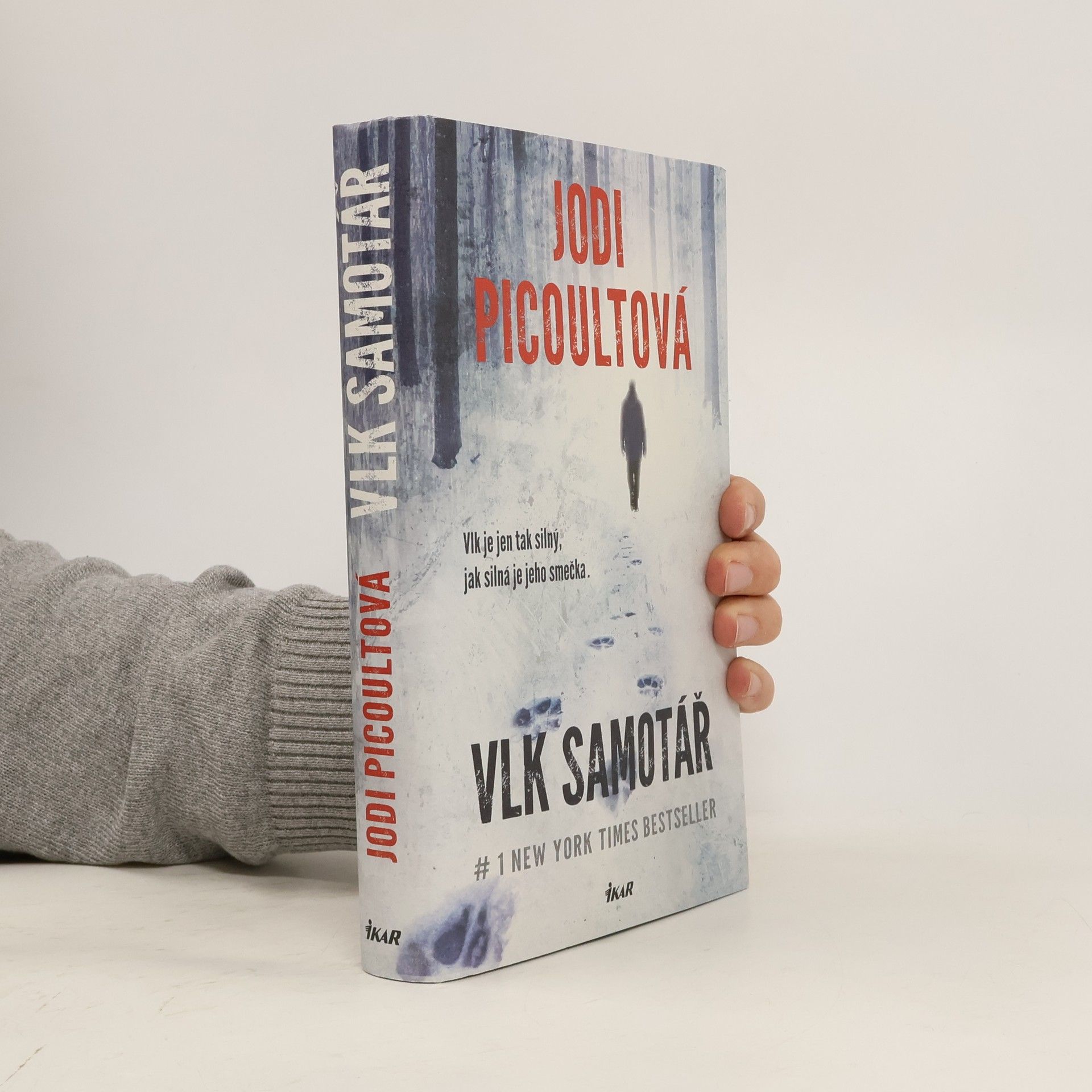 Jodi Picoult Vlk samotář