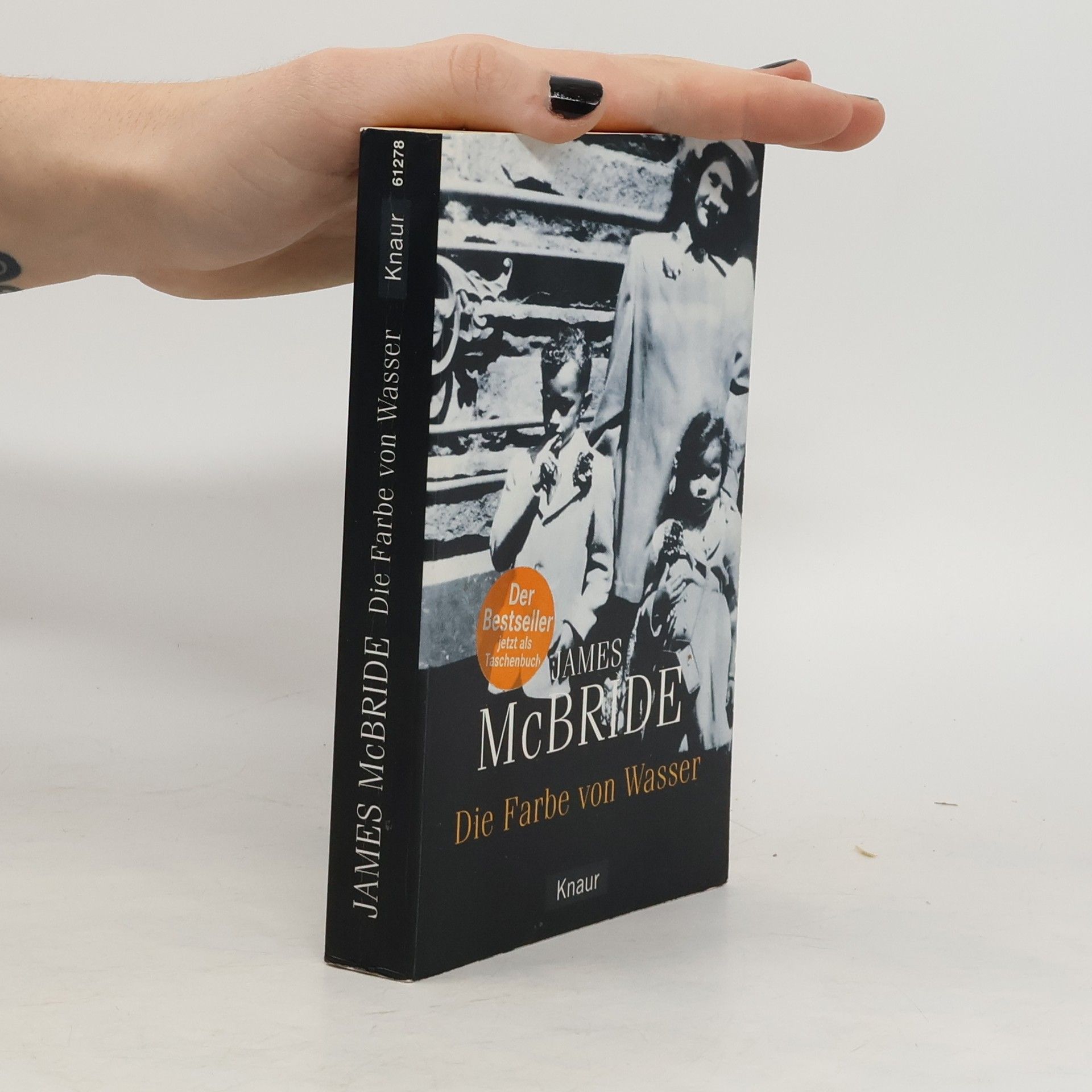 James McBride Die Farbe von Wasser