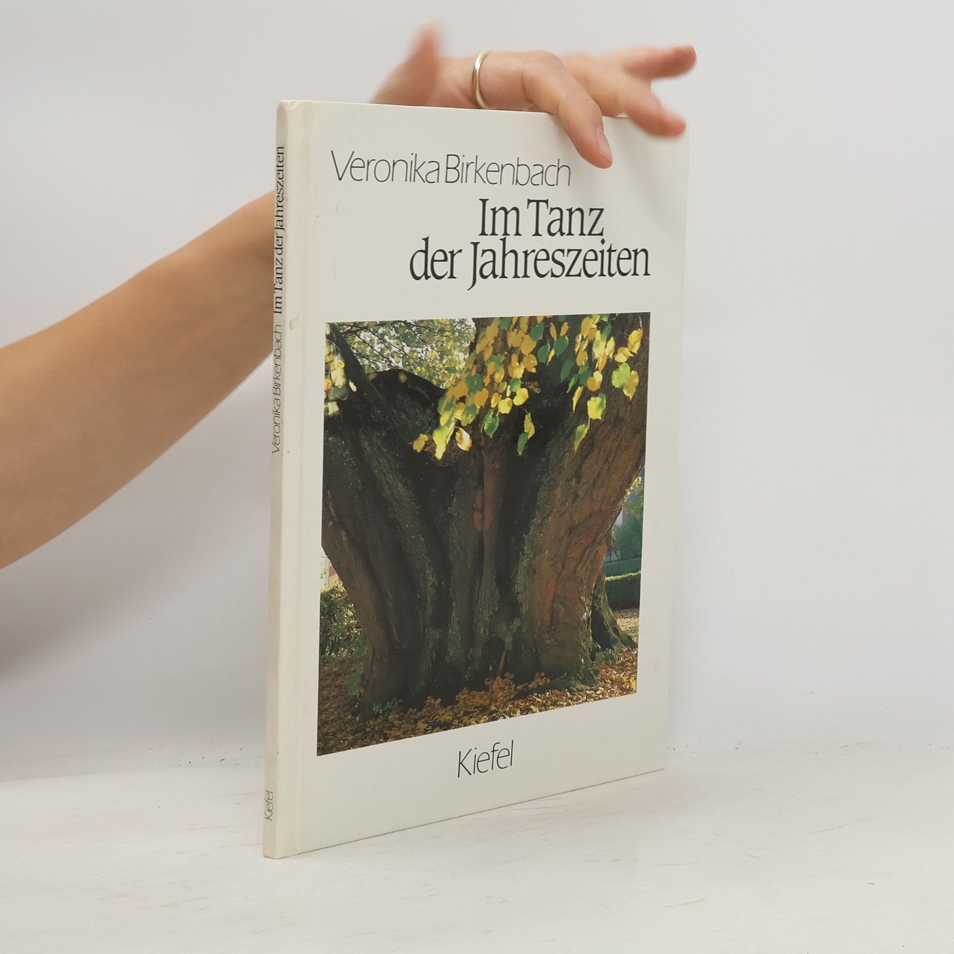 Veronika Birkenbach Im Tanz der Jahreszeiten