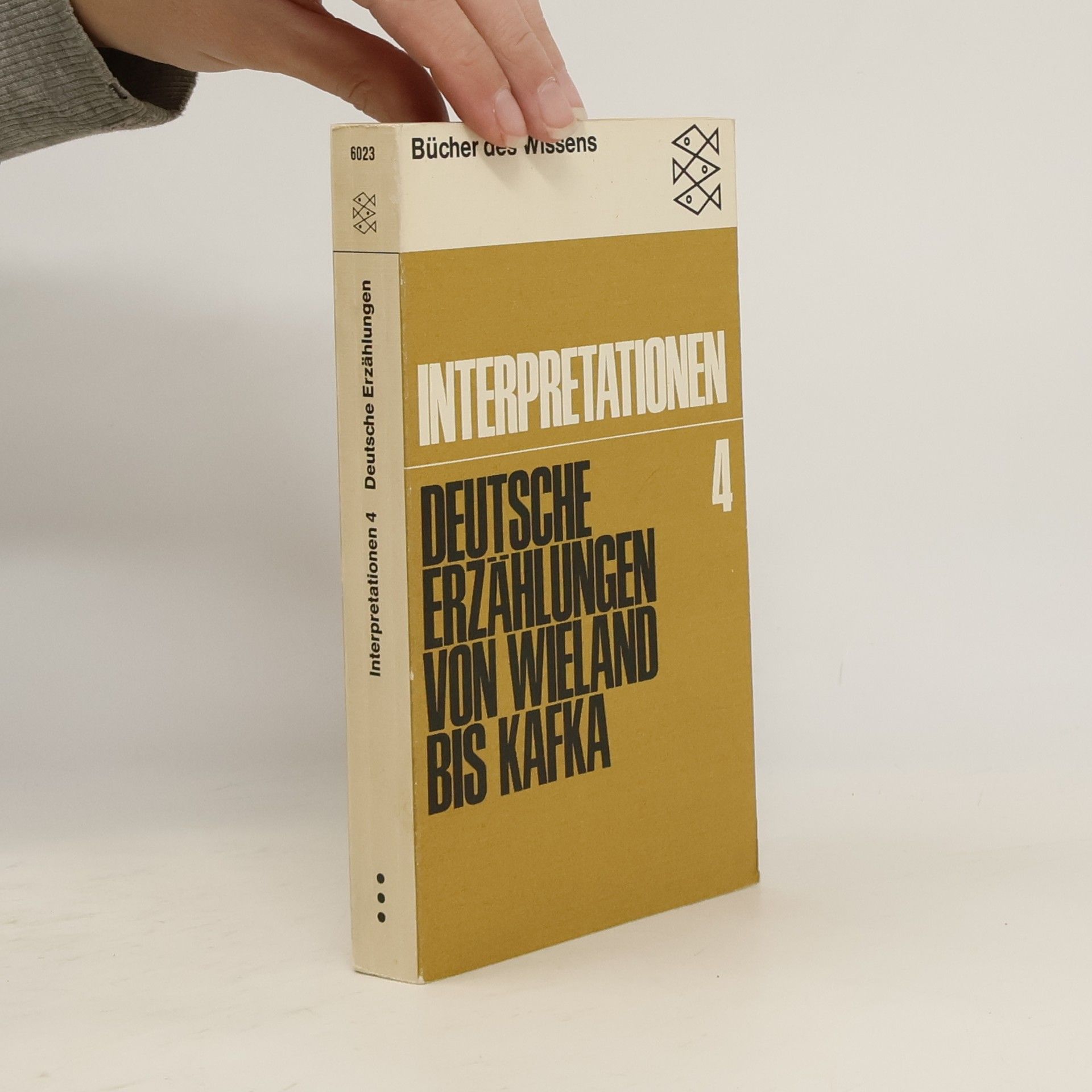 Deutsche Erzählungen von Wieland bis Kafka