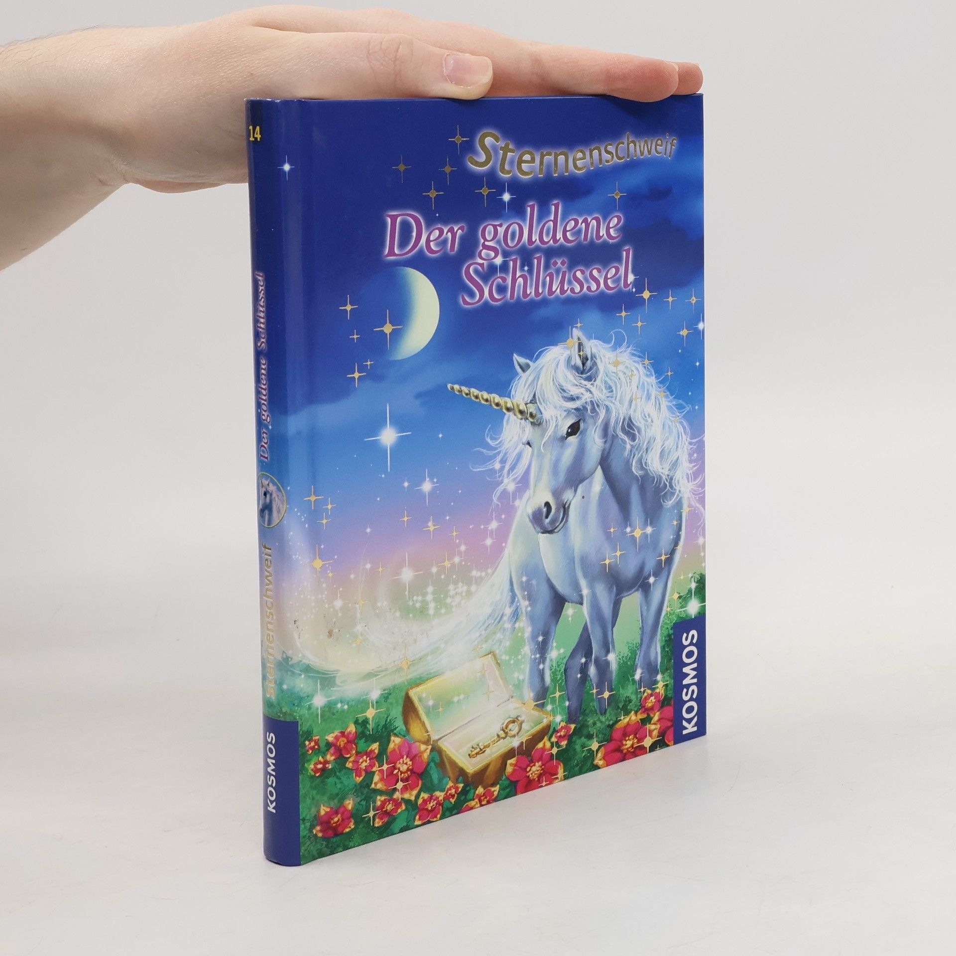 Linda Chapman Sternenschweif. Der goldene Schlüssel 14