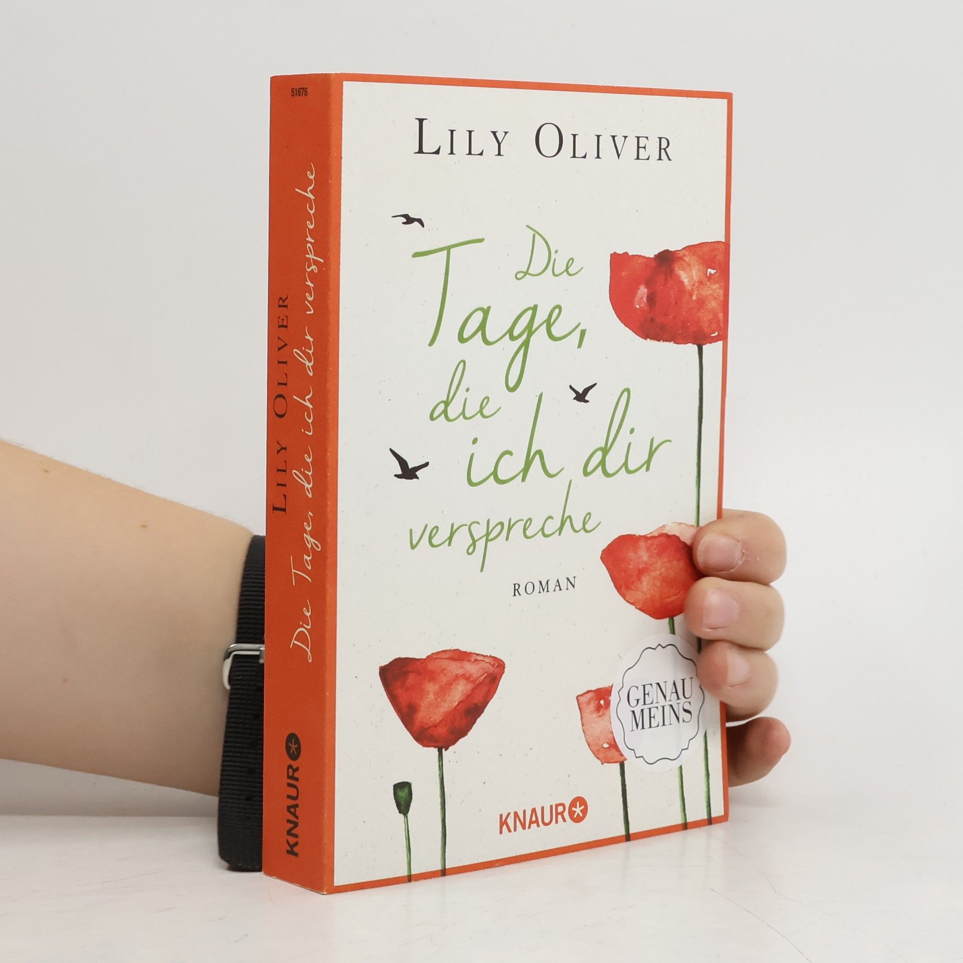 Lily Oliver Die Tage, die ich dir verspreche