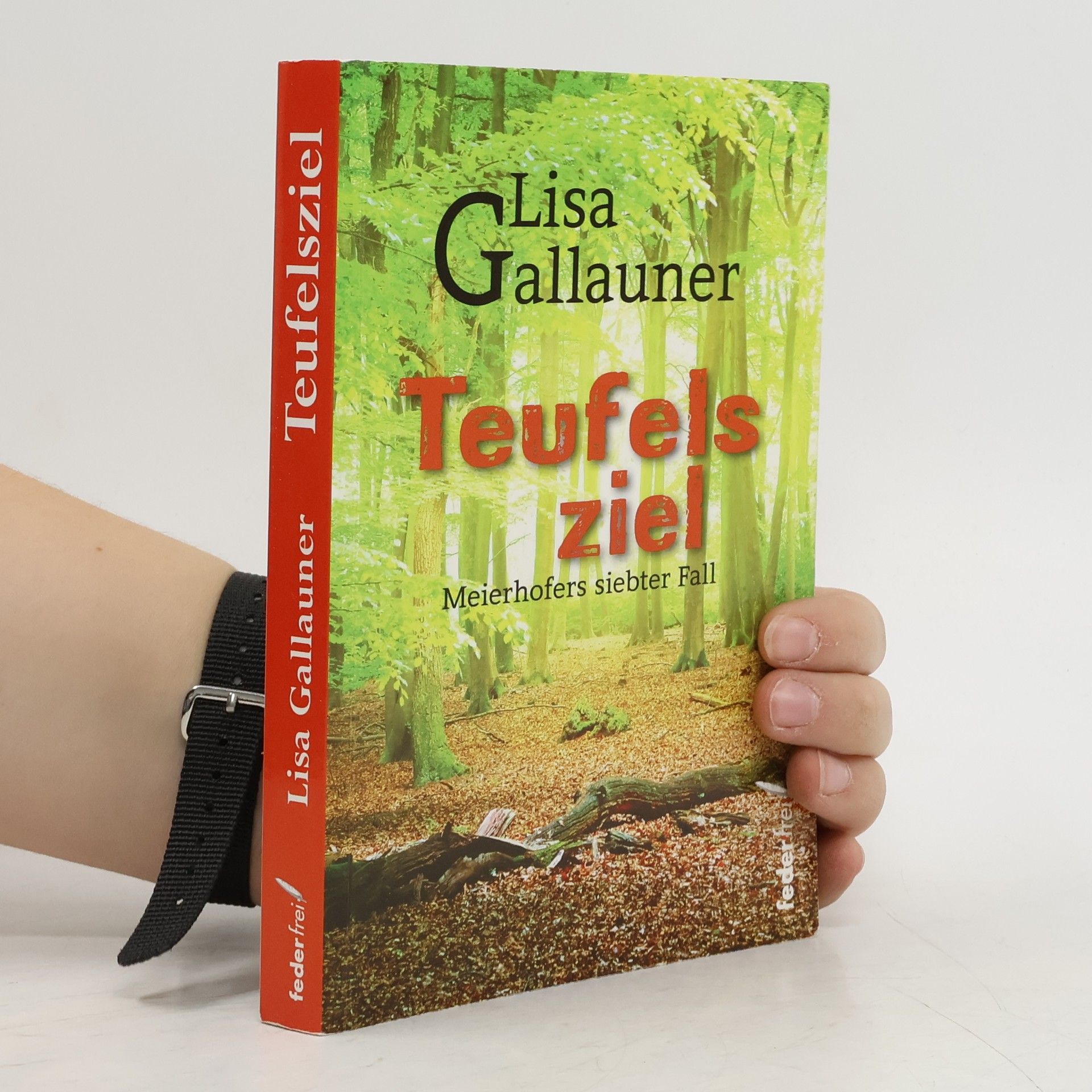 Lisa Gallauner Teufelsziel