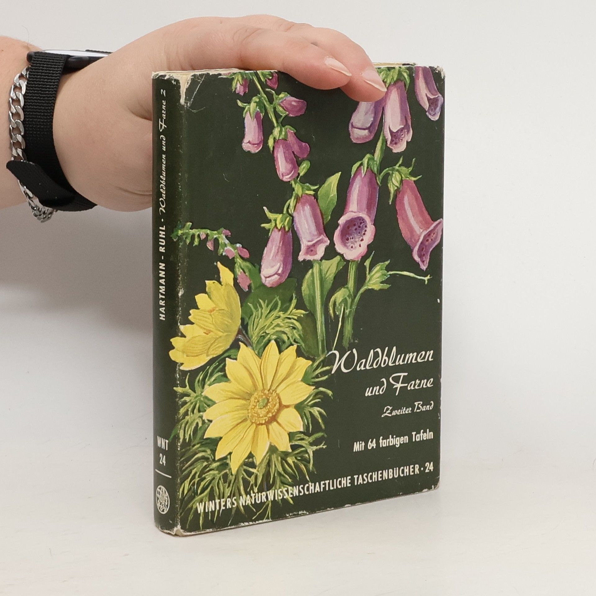 Friedrich-Karl Hartmann Waldblumen und Farne 2